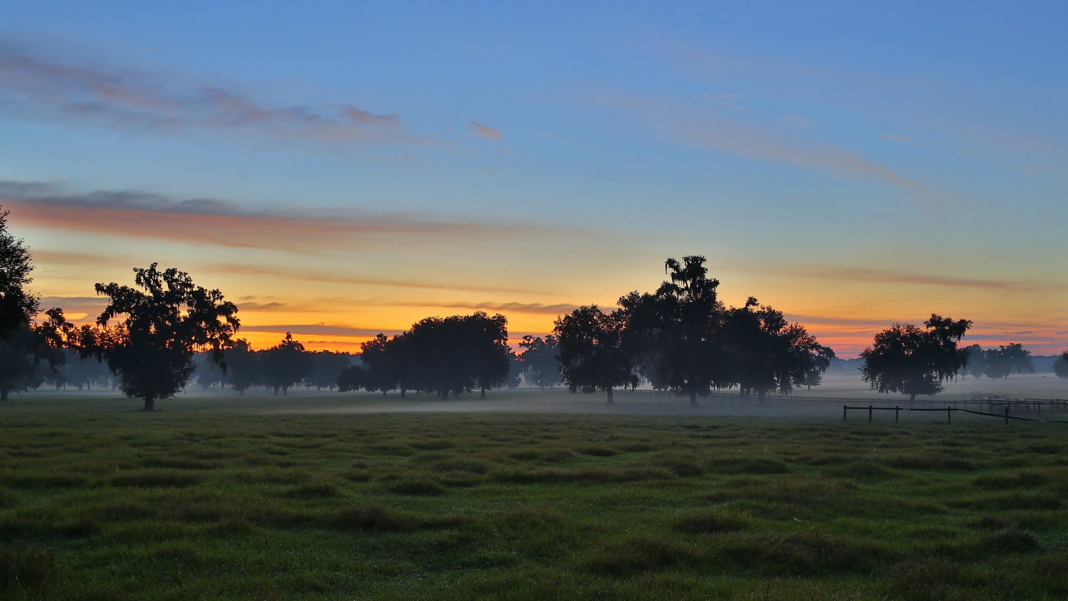 the field sunset landscape