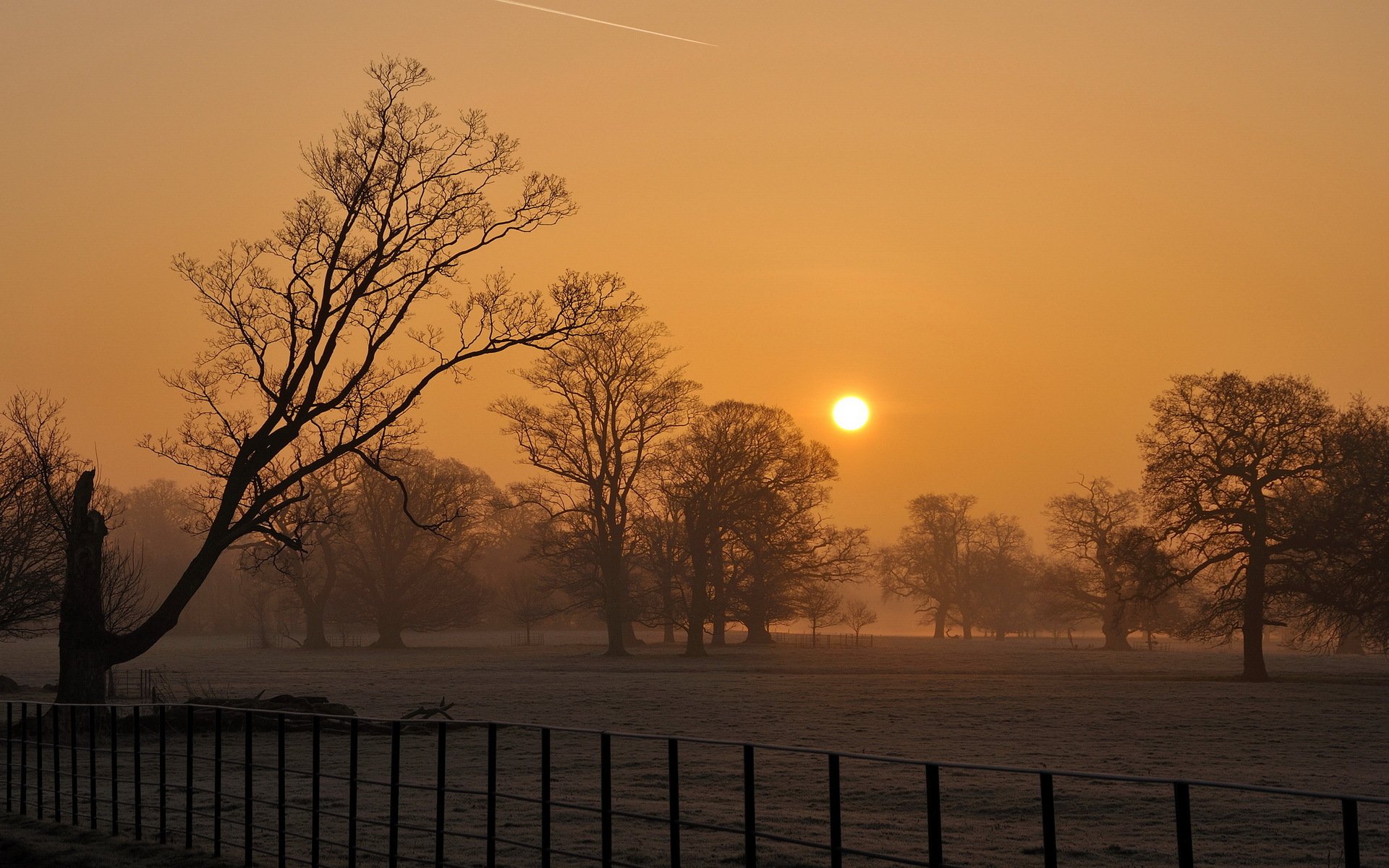 sonnenuntergang nebel feld bäume