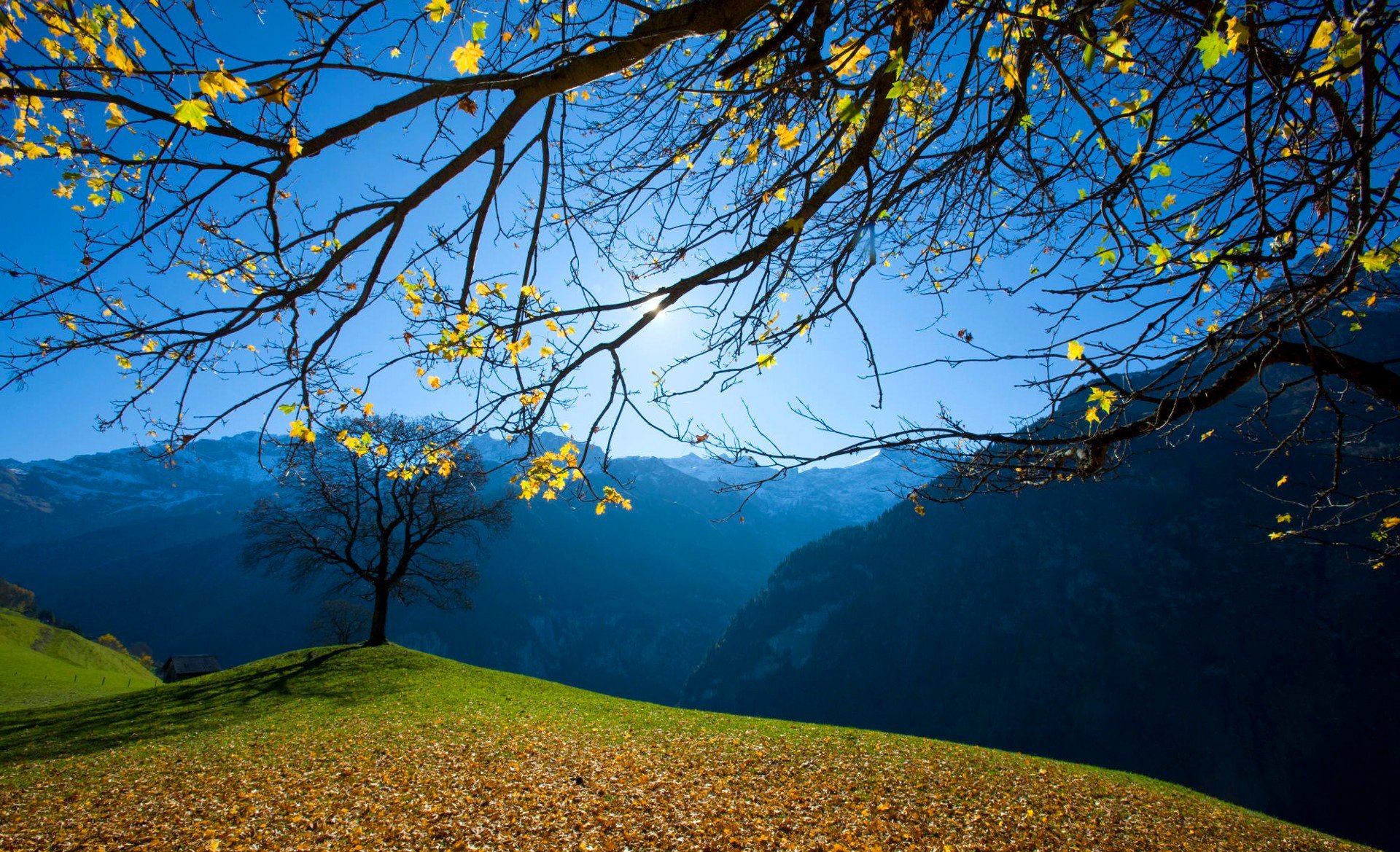 cielo montagne erba alberi foglie autunno