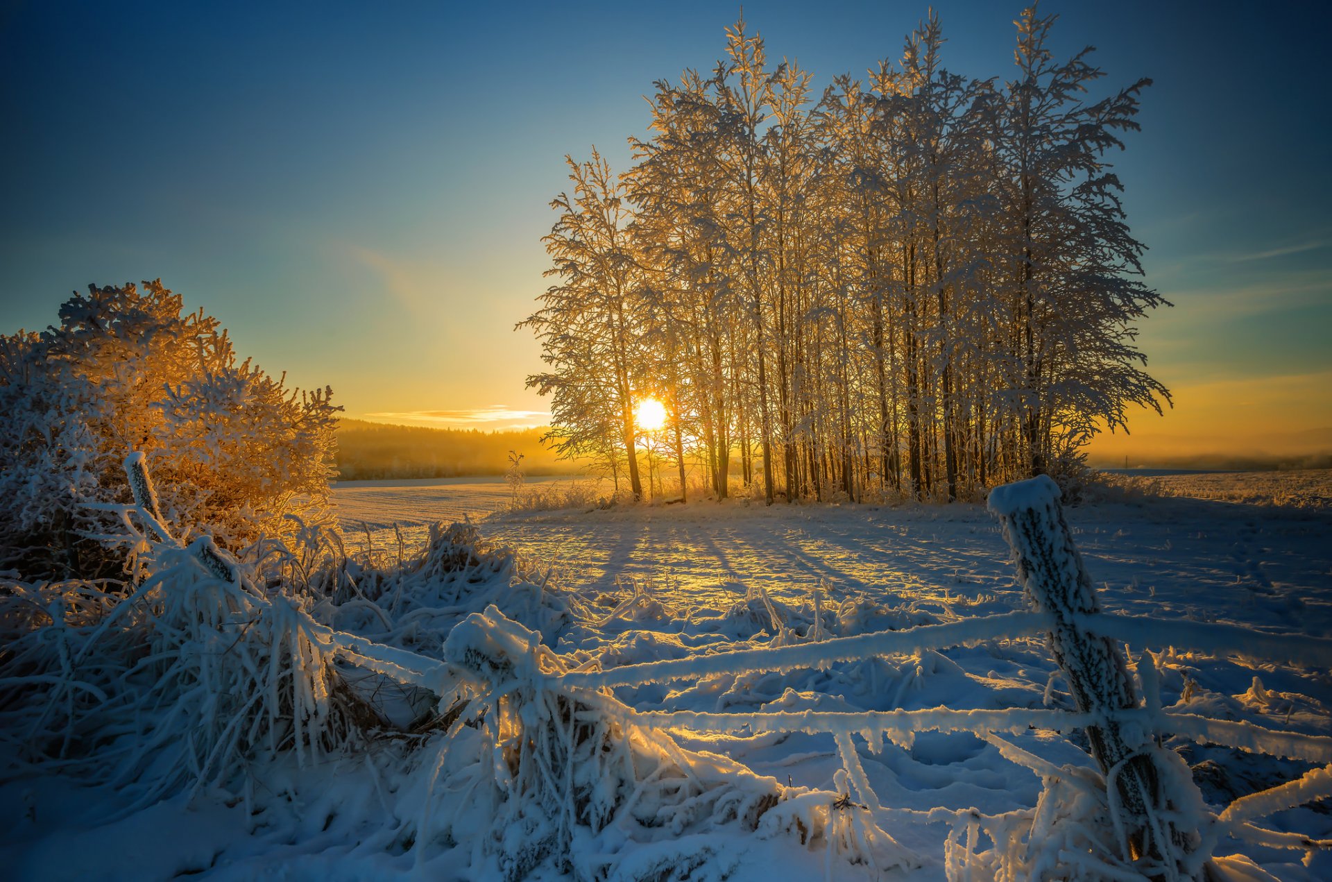 winter schnee morgen schräger zaun bäume sonne sonnenaufgang