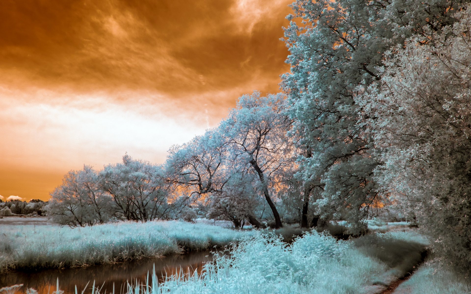 fiume natura paesaggio