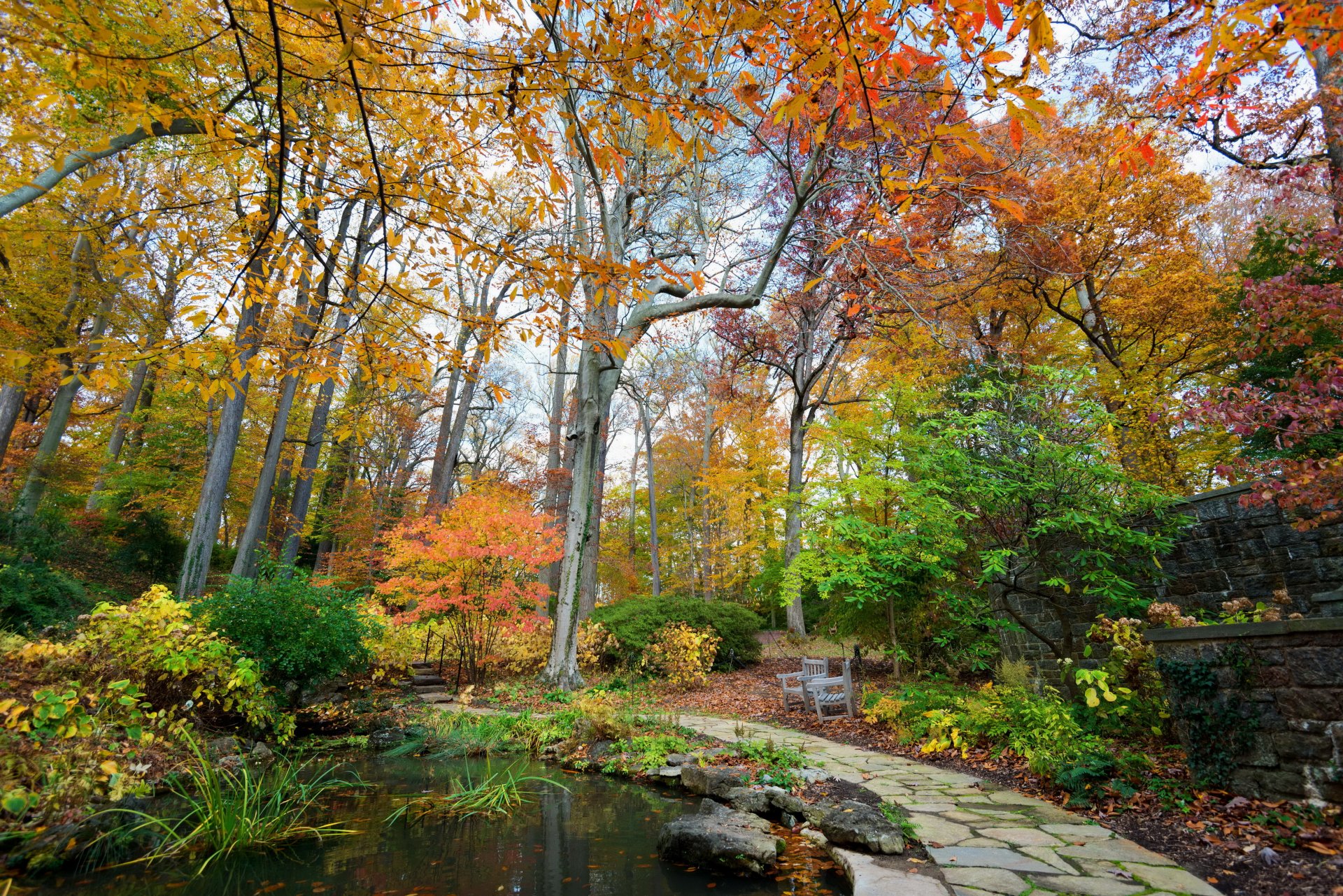 park autumn pond united states longwood kennett square tree nature photo