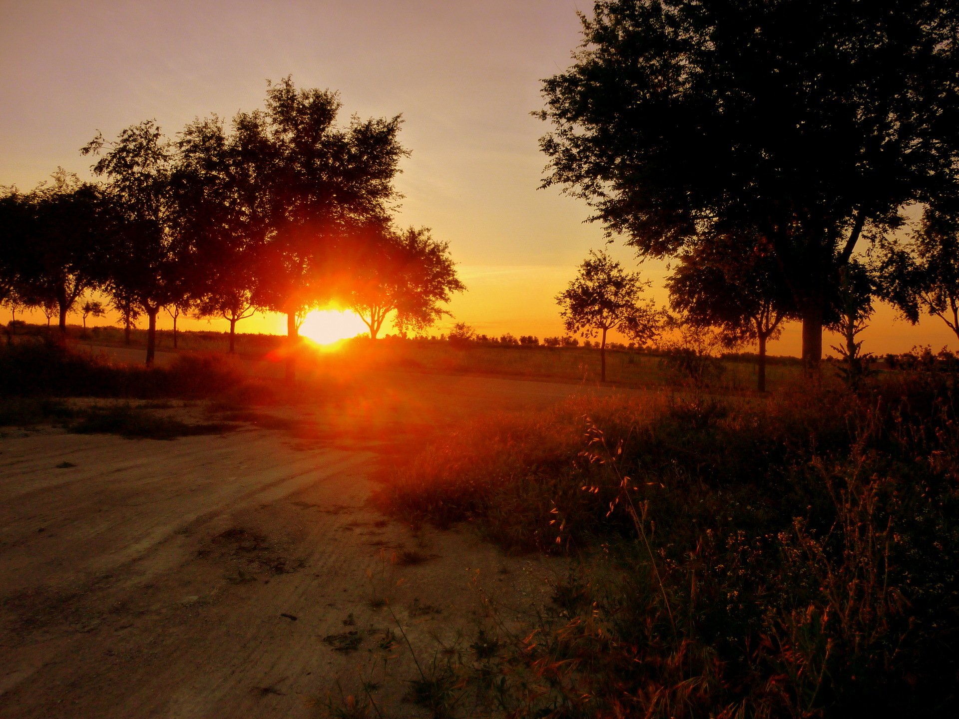 alba tramonto spagna sole natura strada alberi foto