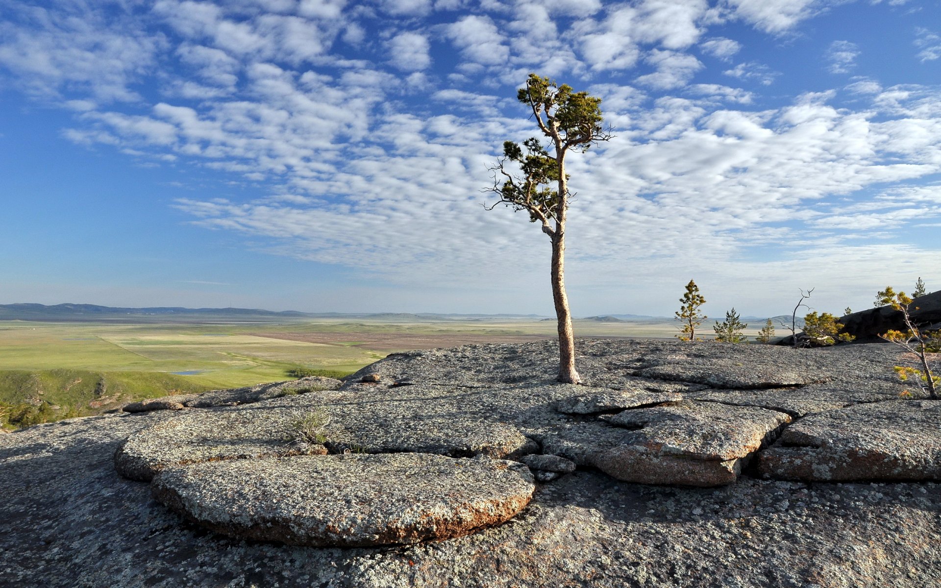 montagnes arbre paysage