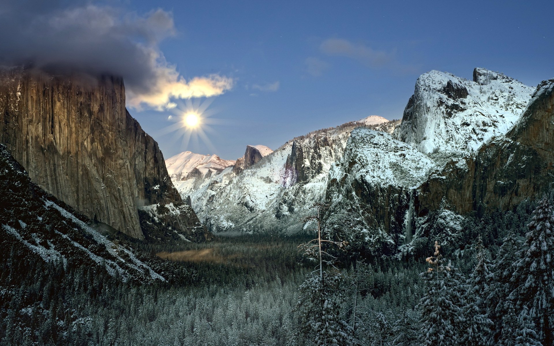 montañas bosque paisaje