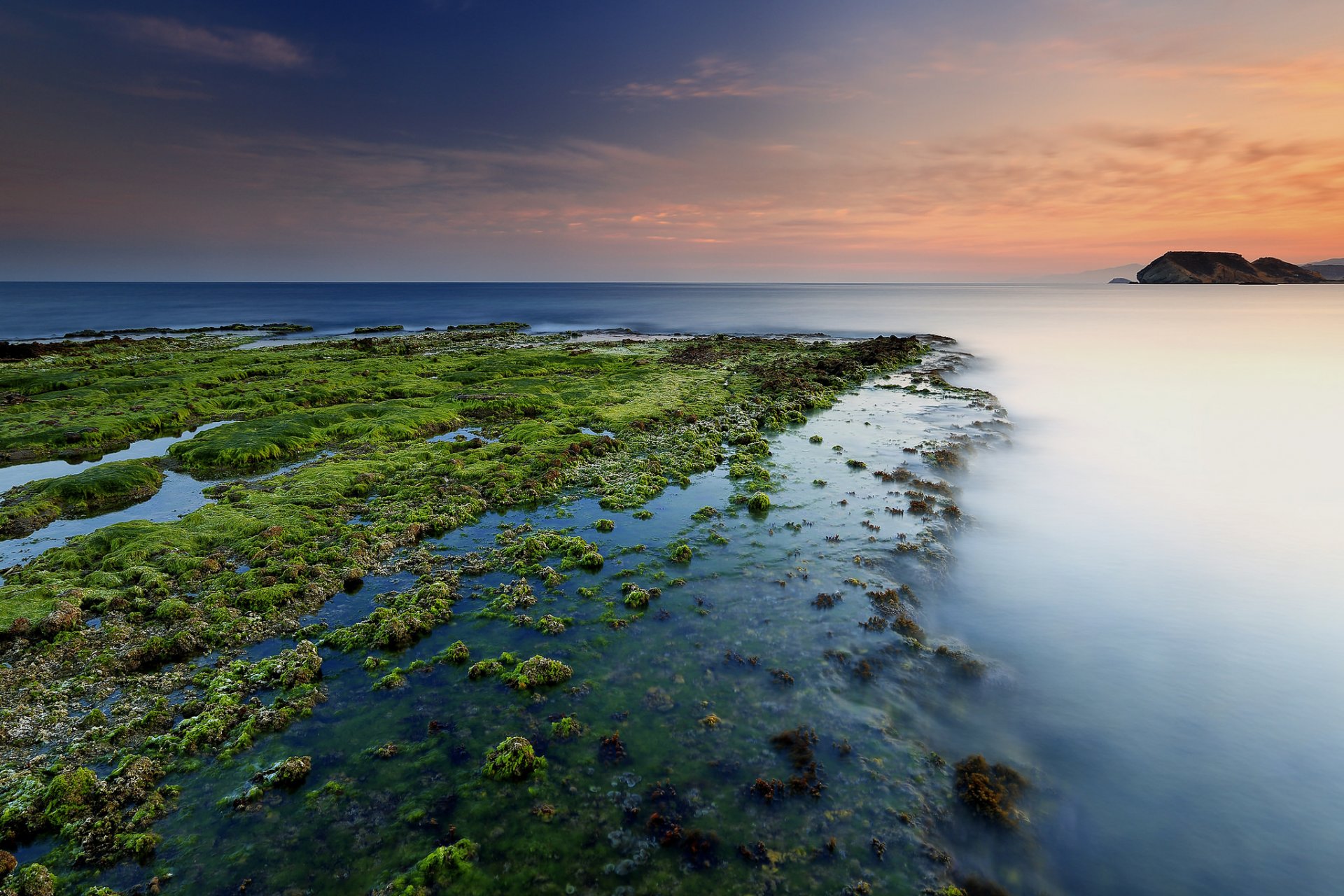 mar playa algas amanecer