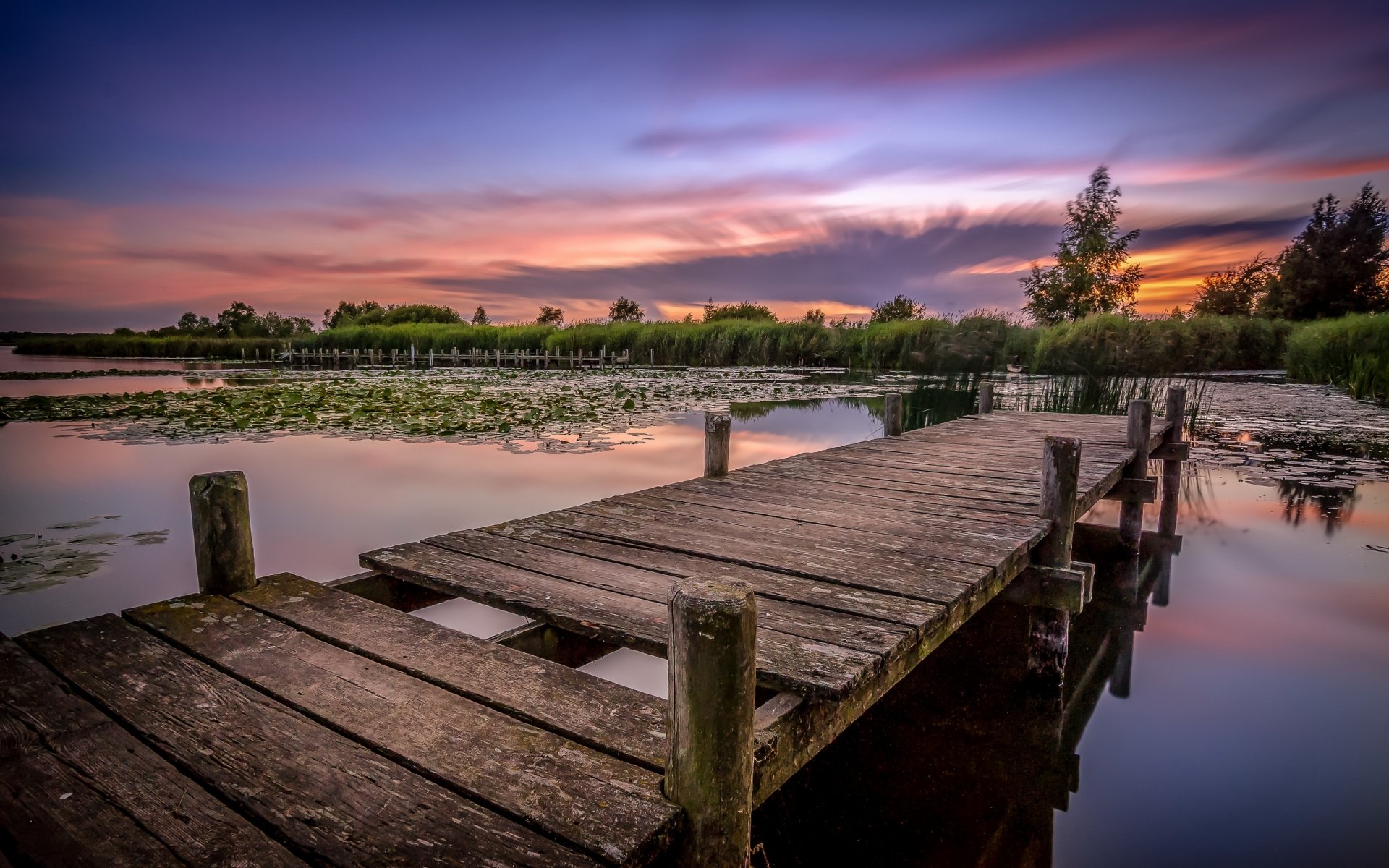 foresta lago stagno ponte mattina