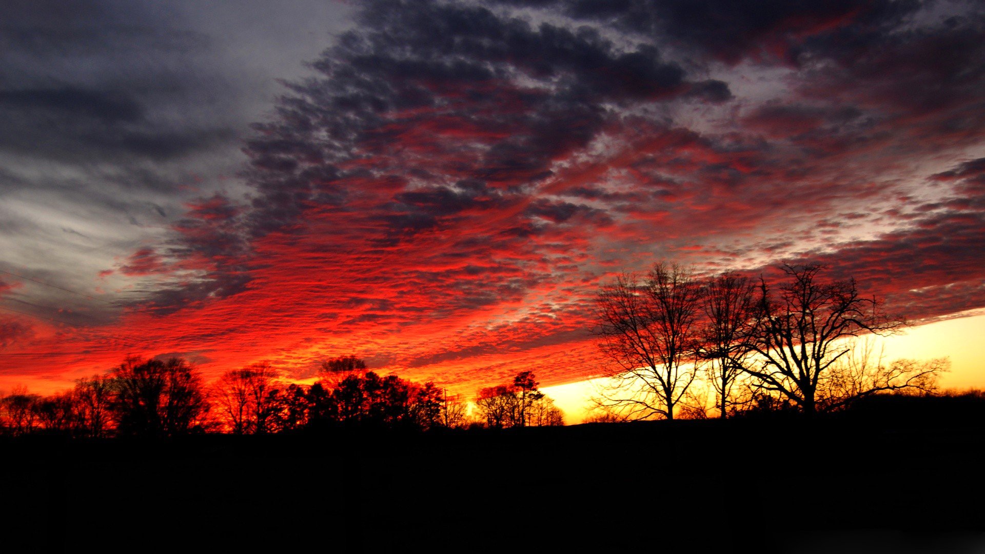 ciel nuages coucher de soleil lueur arbres silhouette