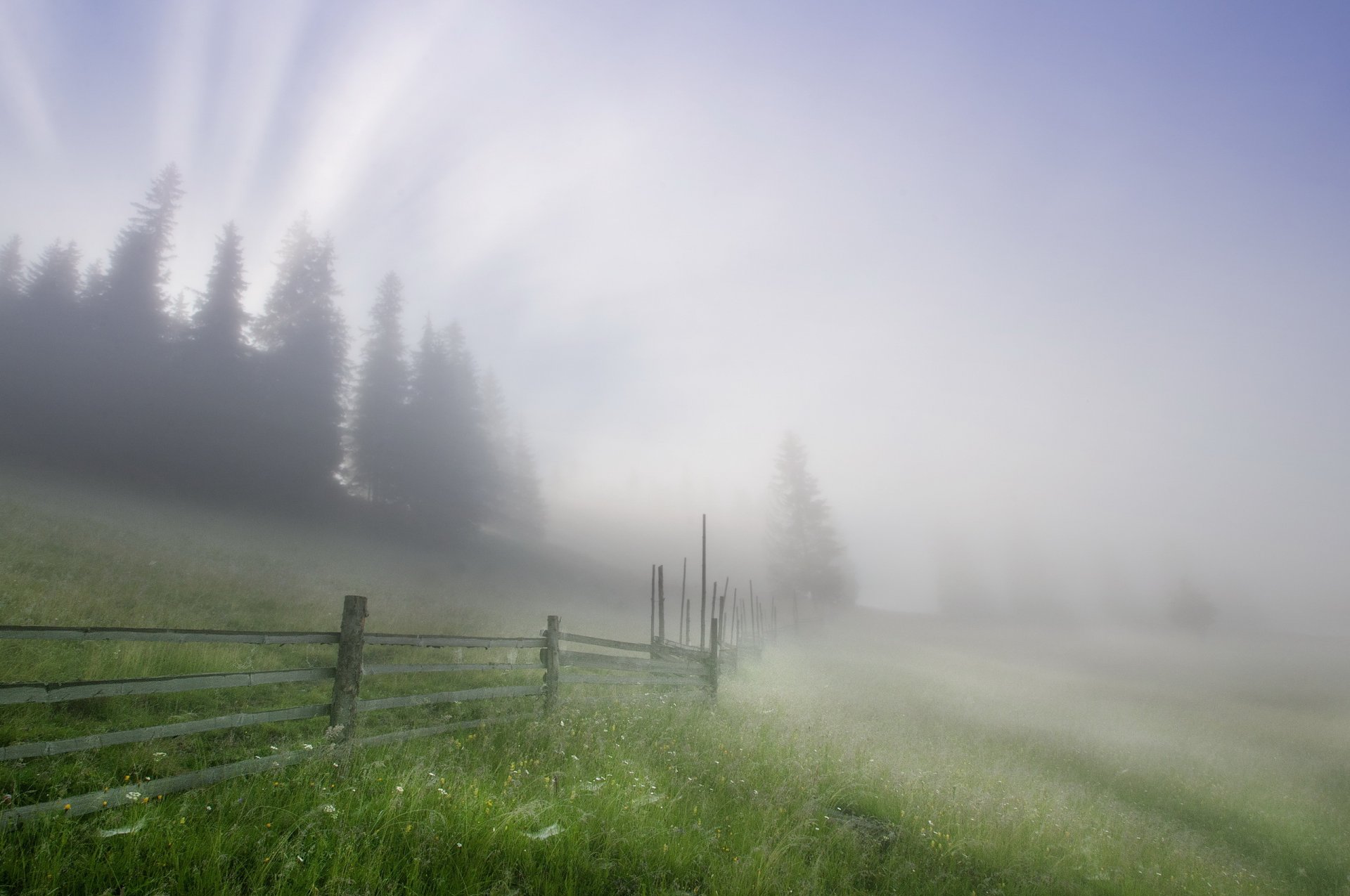 niebla cerca paisaje