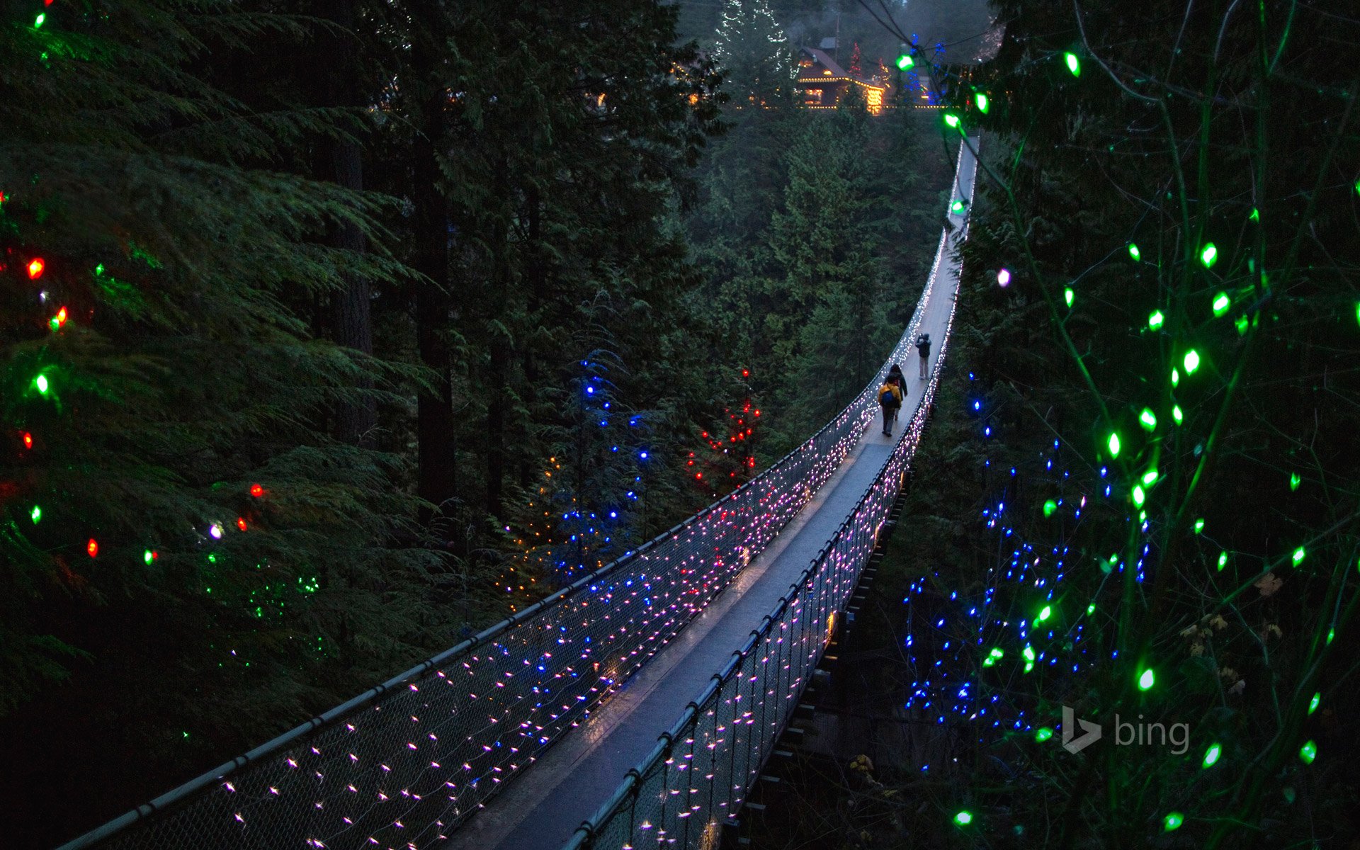 norte de vancouver columbia británica canadá capilano puente colgante árboles vacaciones luces personas