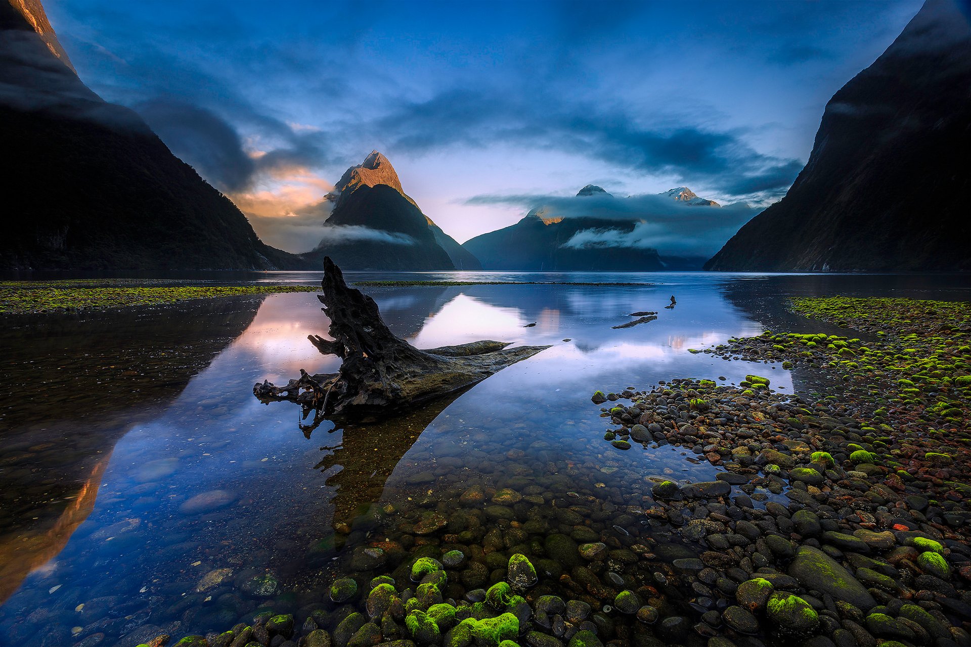 new zealand south island fiordland national park fjord of milford sound piopiotahi