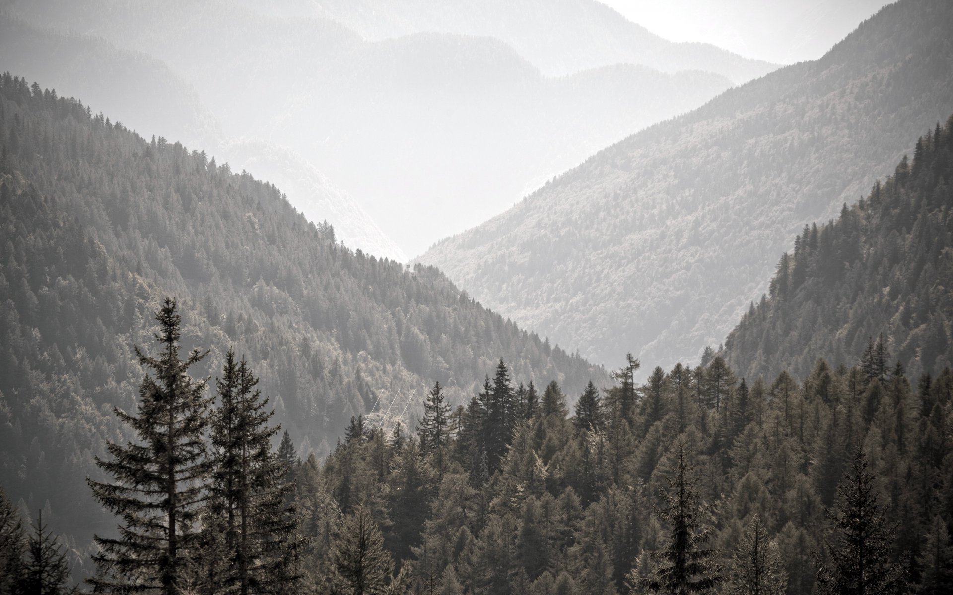 berge bäume landschaft