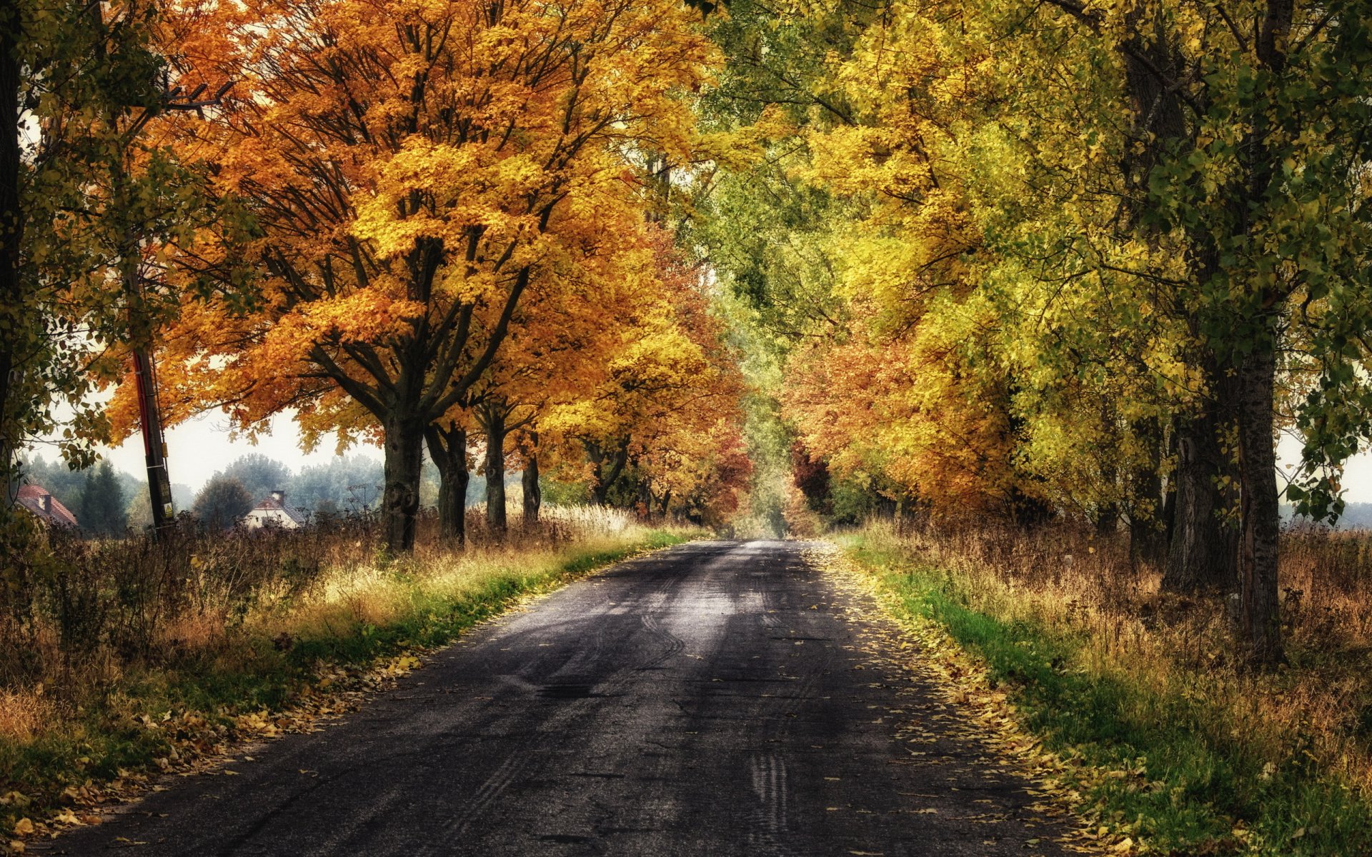 road autumn landscape