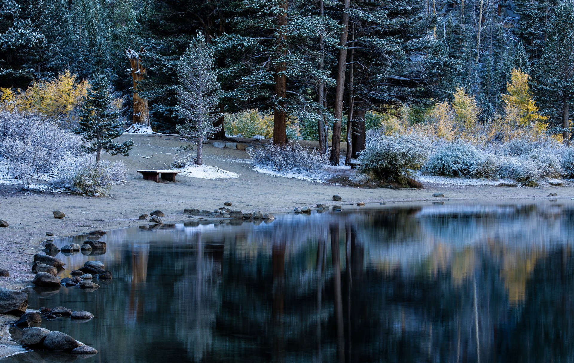 bosque parque mesa banco árboles otoño escarcha lago