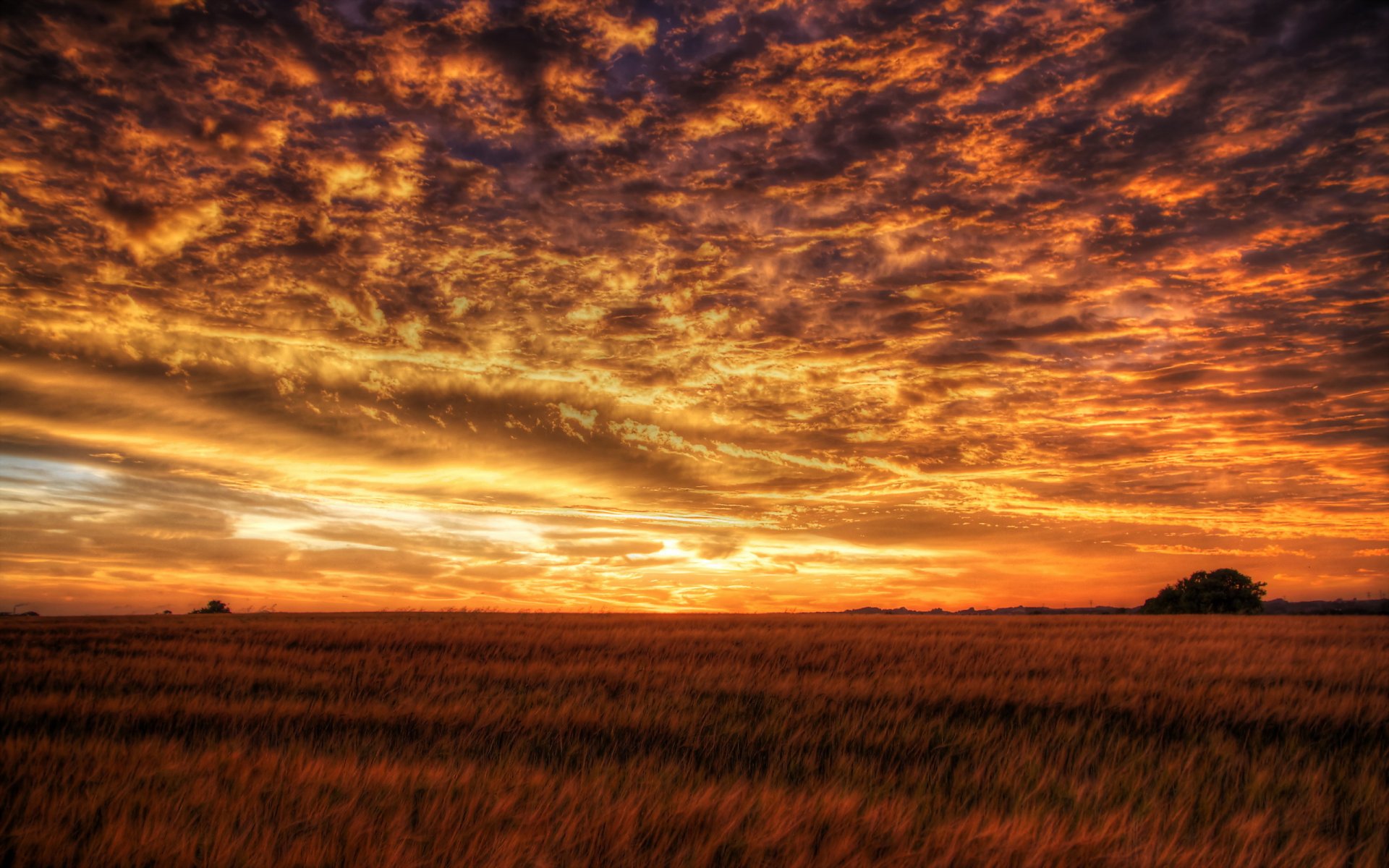 champ ciel coucher de soleil paysage