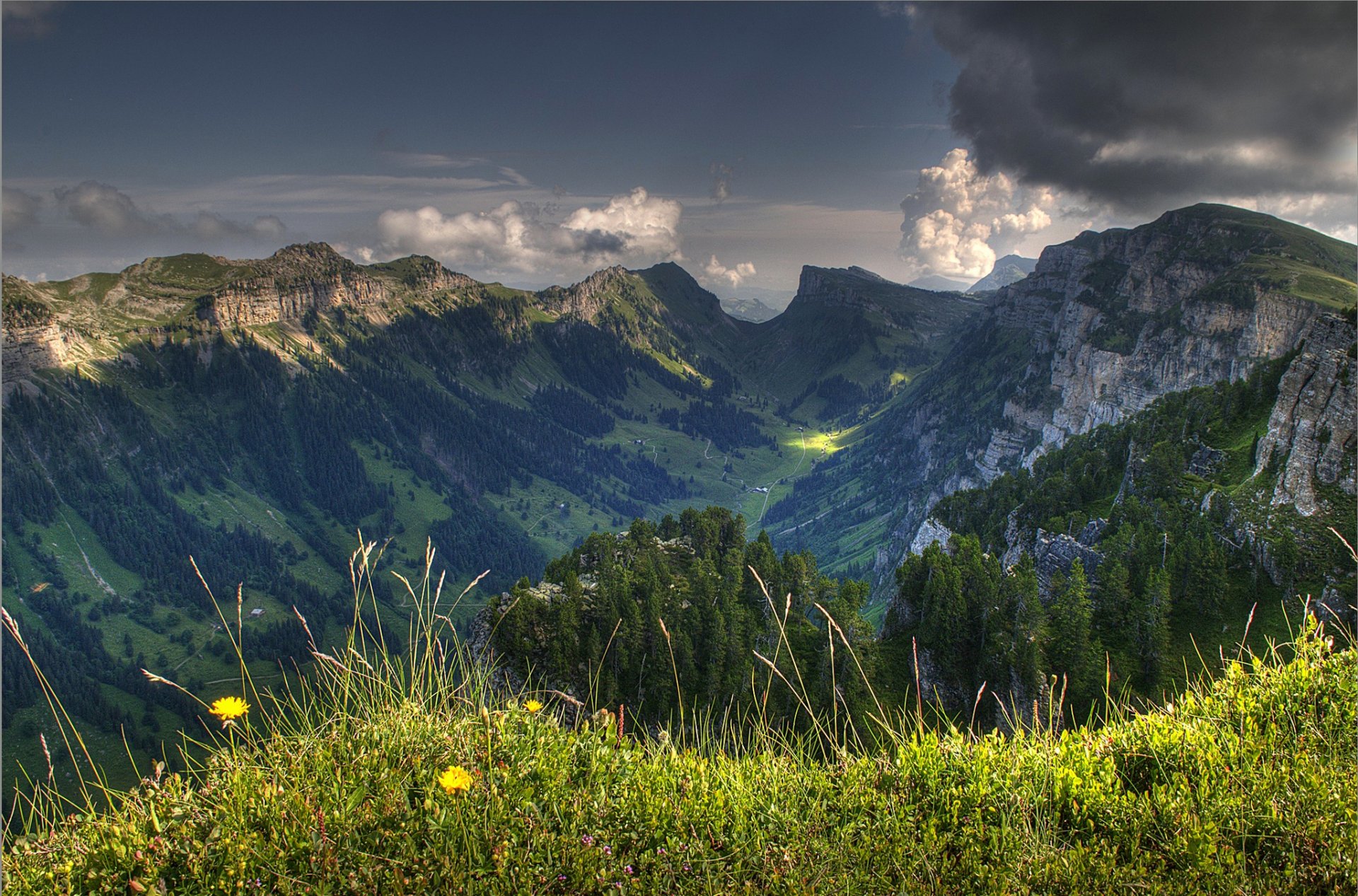 szwajcaria niebo chmury chmury góry dolina trawa kwiaty drzewa natura