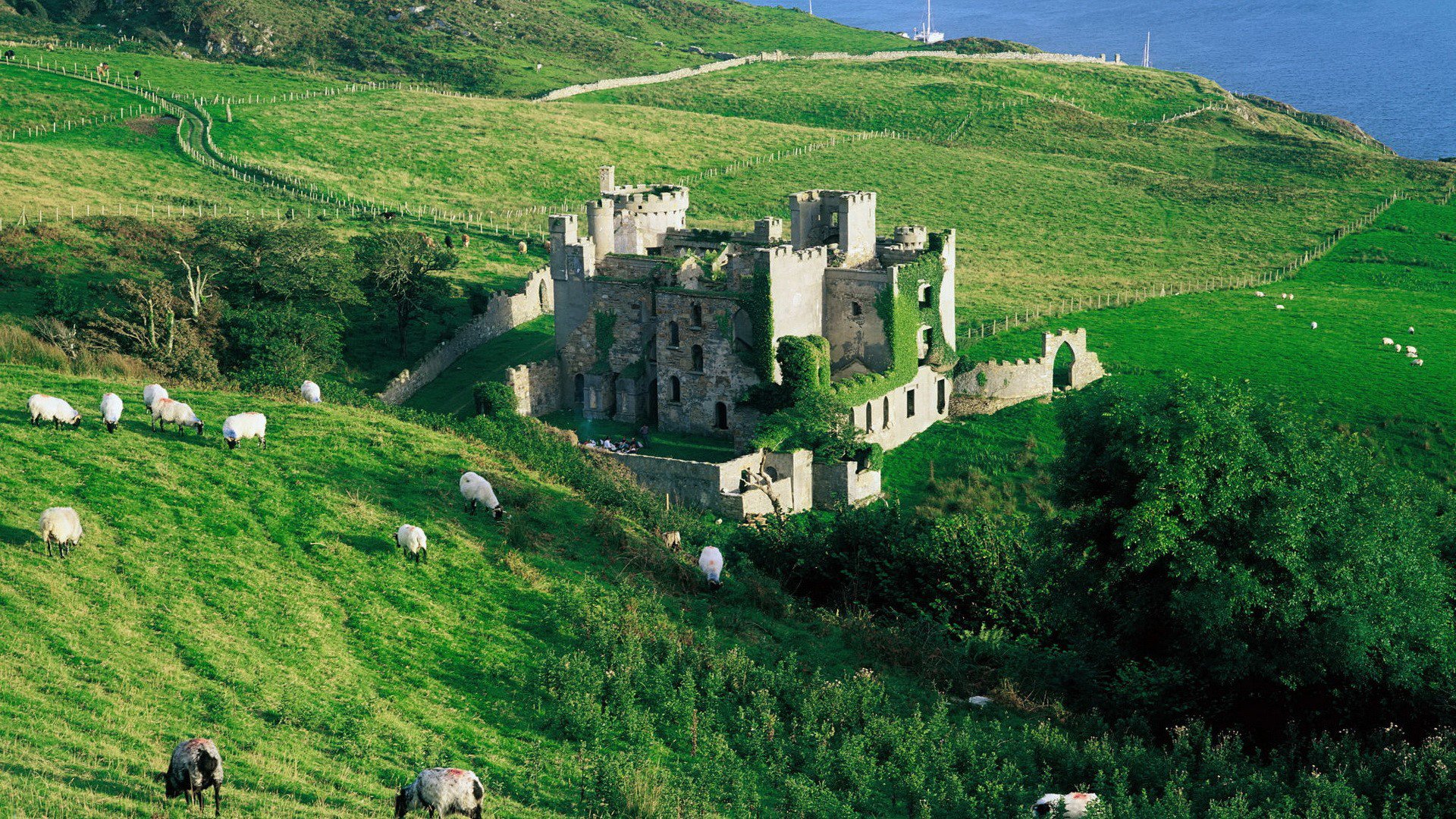 mar pendiente hierba ovejas castillo ruinas árboles