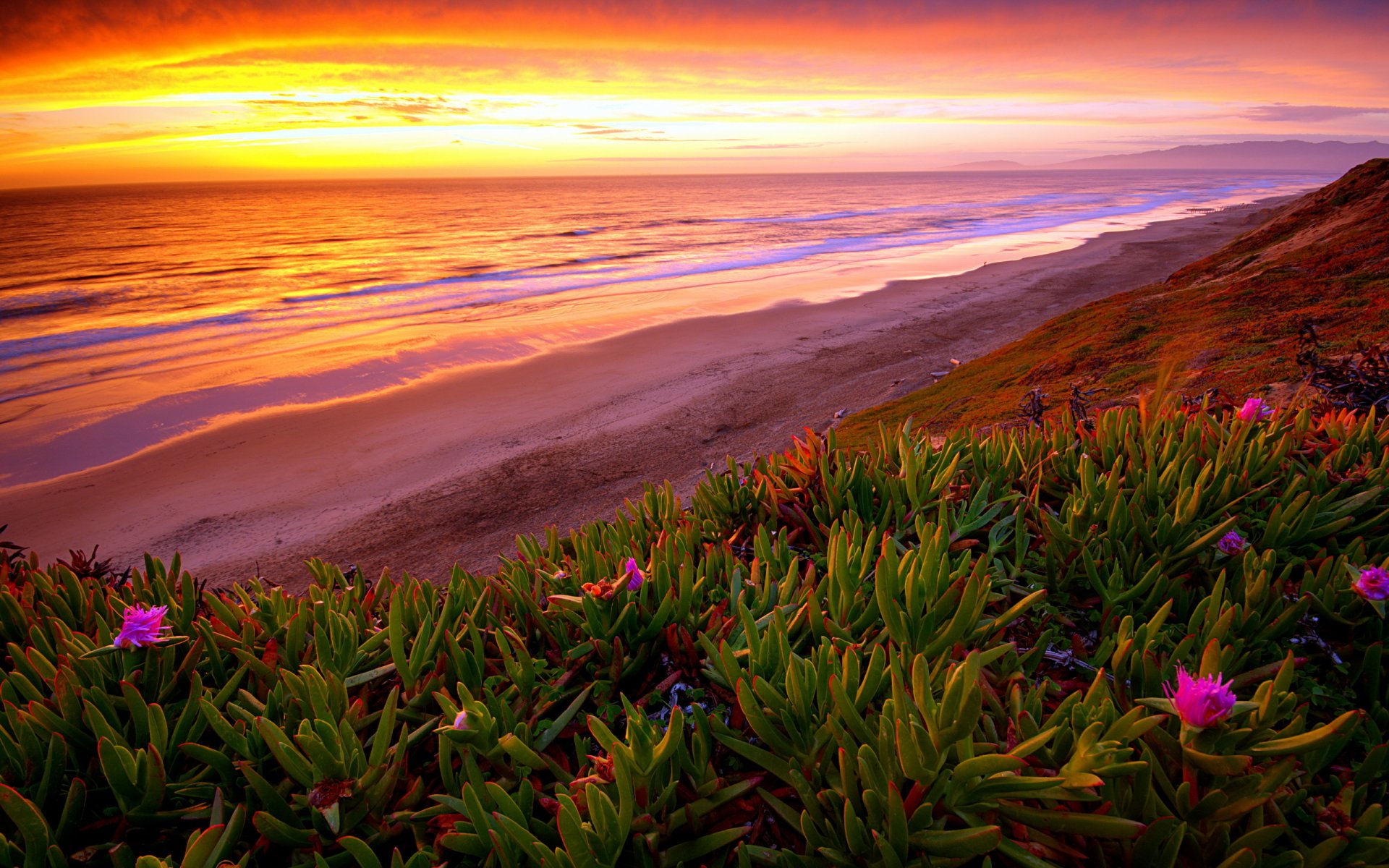 unset sea beach landscape