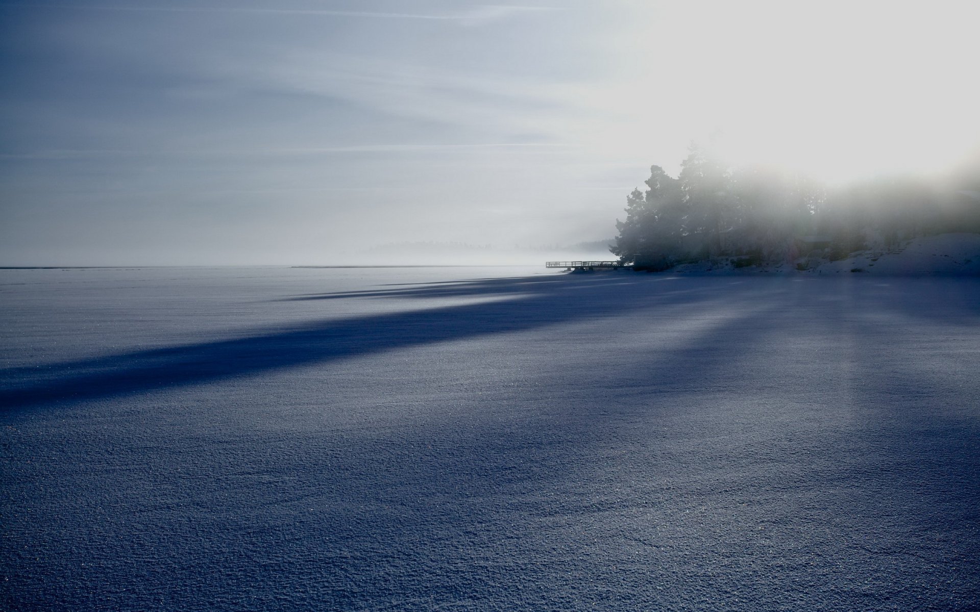 champ brouillard hiver