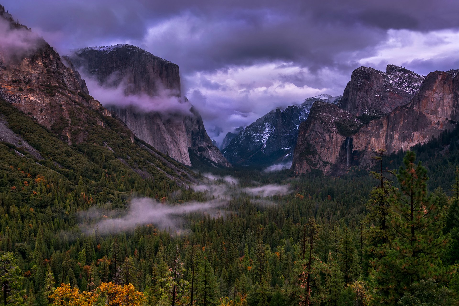 park narodowy yosemite yosemite usa kalifornia drzewa góry chmury mgła krajobraz natura