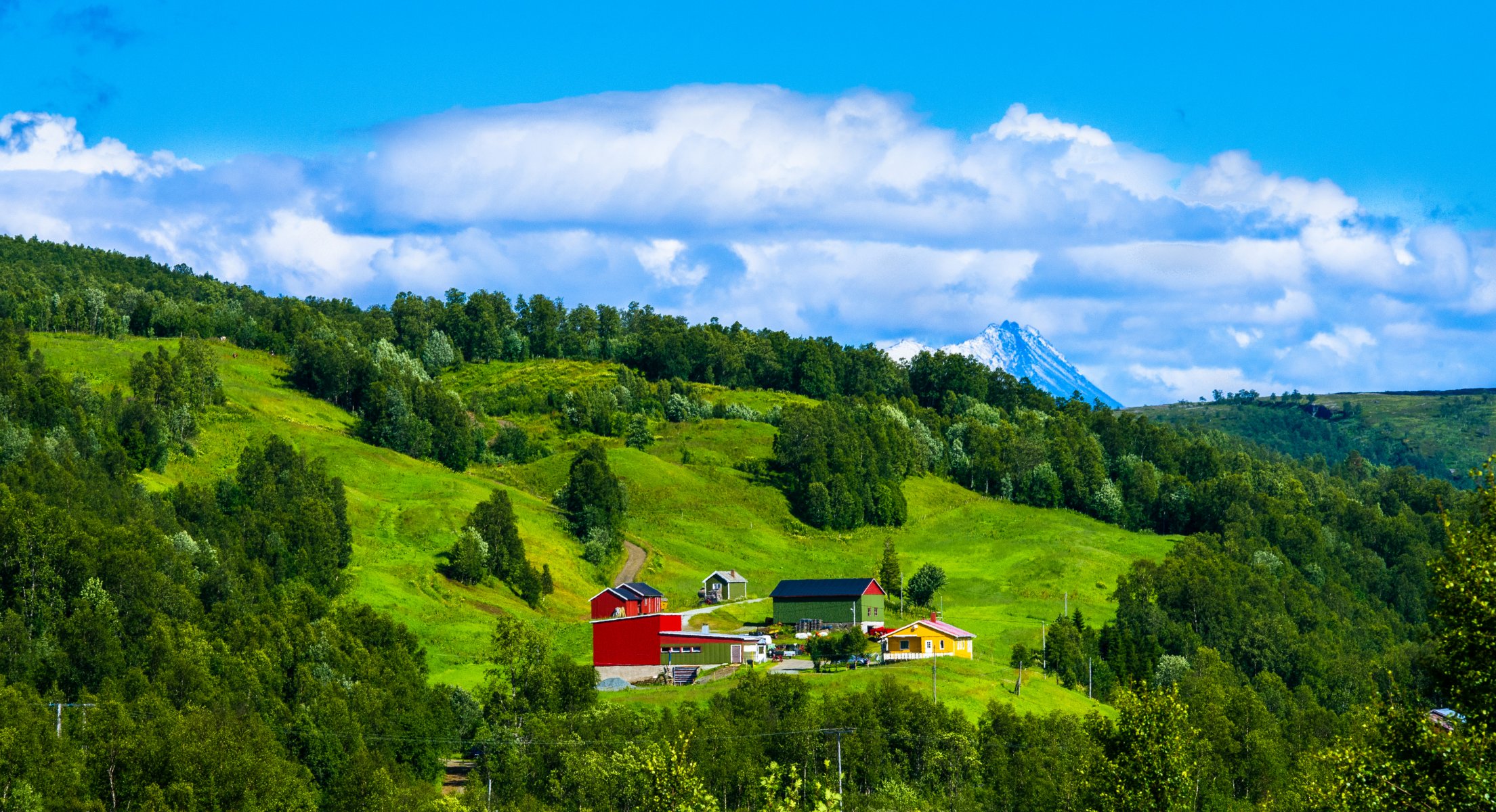 norwegia góry domy niebo chmury drzewa trawa stok