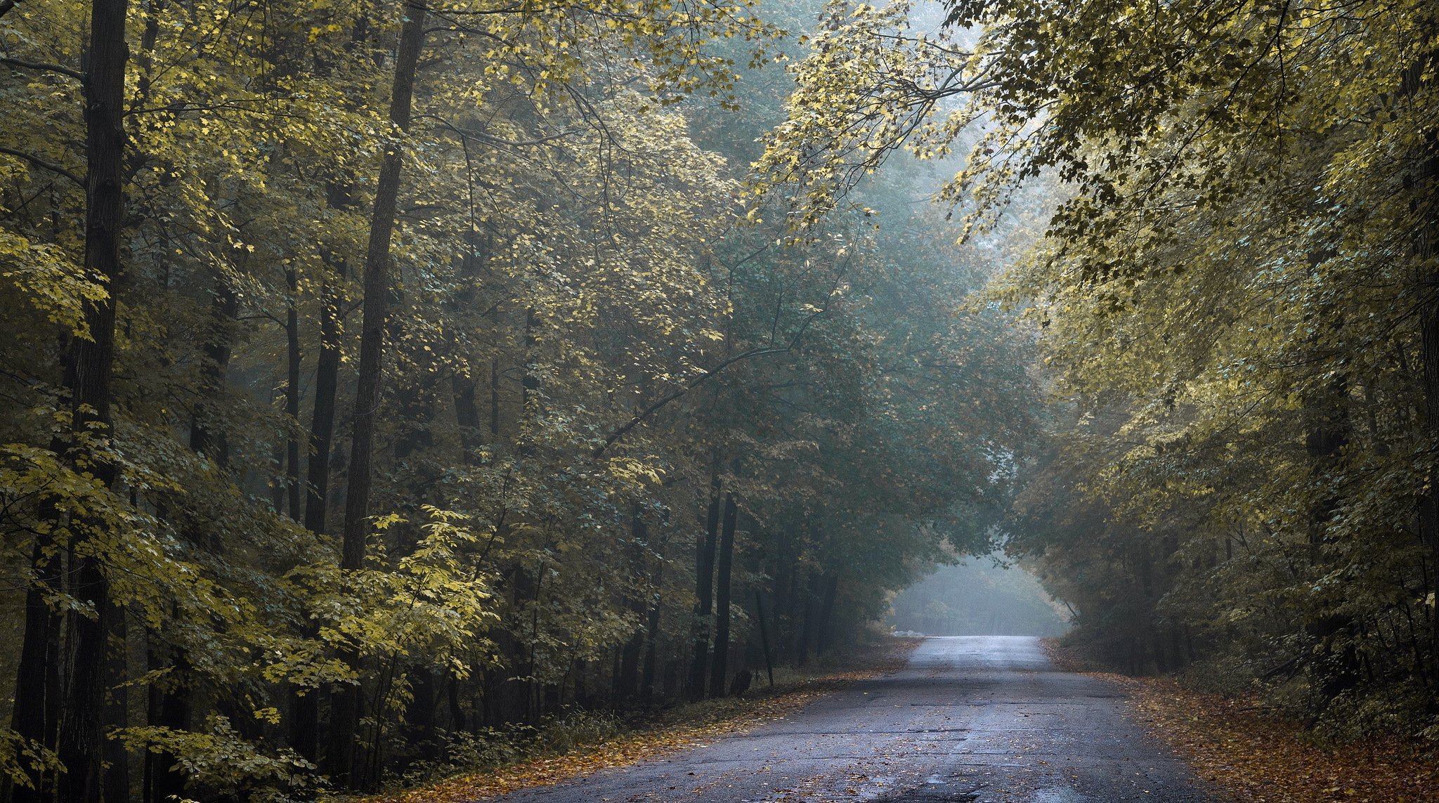 tunnel oro autunno strada wisconsin