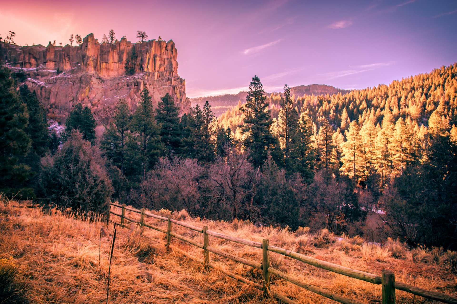 usa berge wald straße zaun