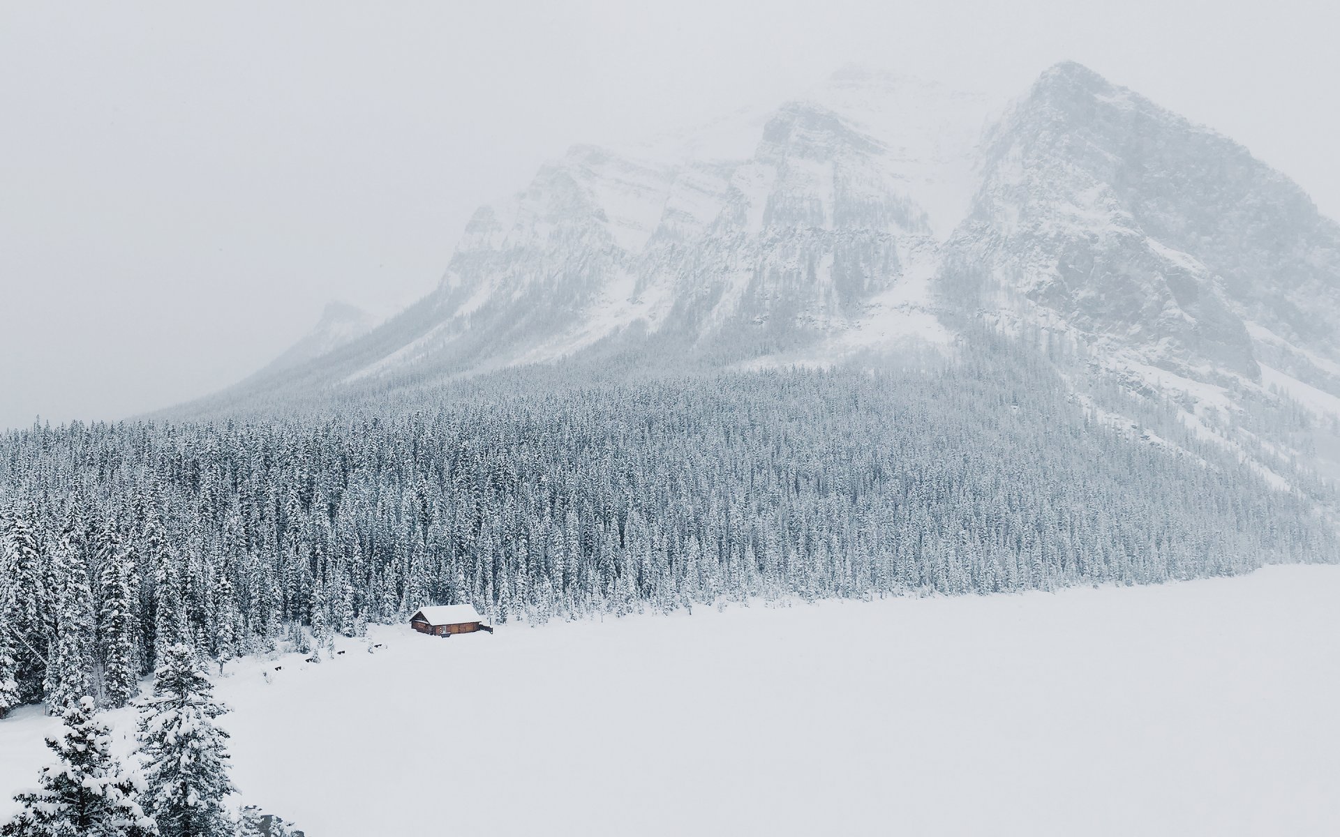 montañas nieve invierno bosque lago louise alberta canadá