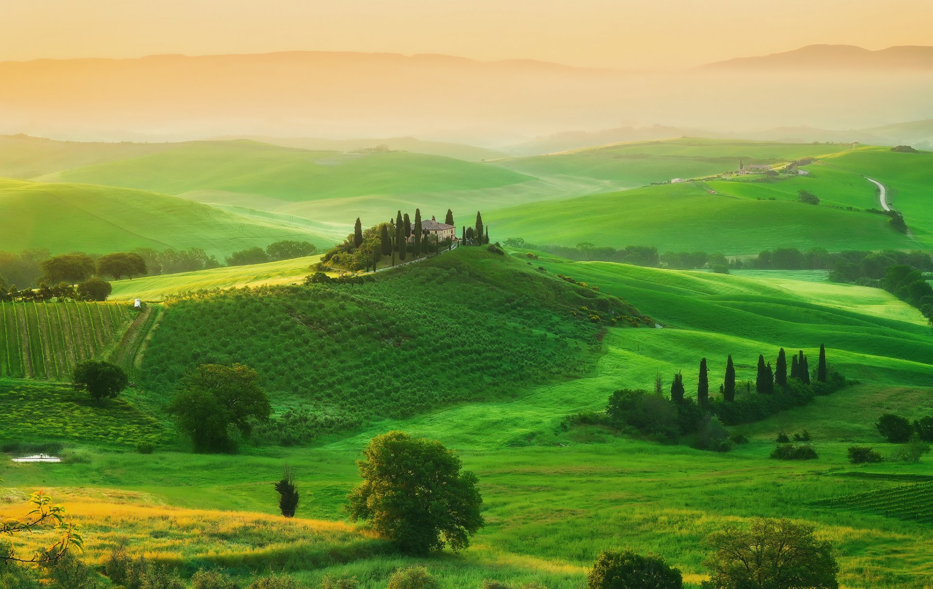 italien toskana felder bäume haus herrenhaus morgen frühling mai