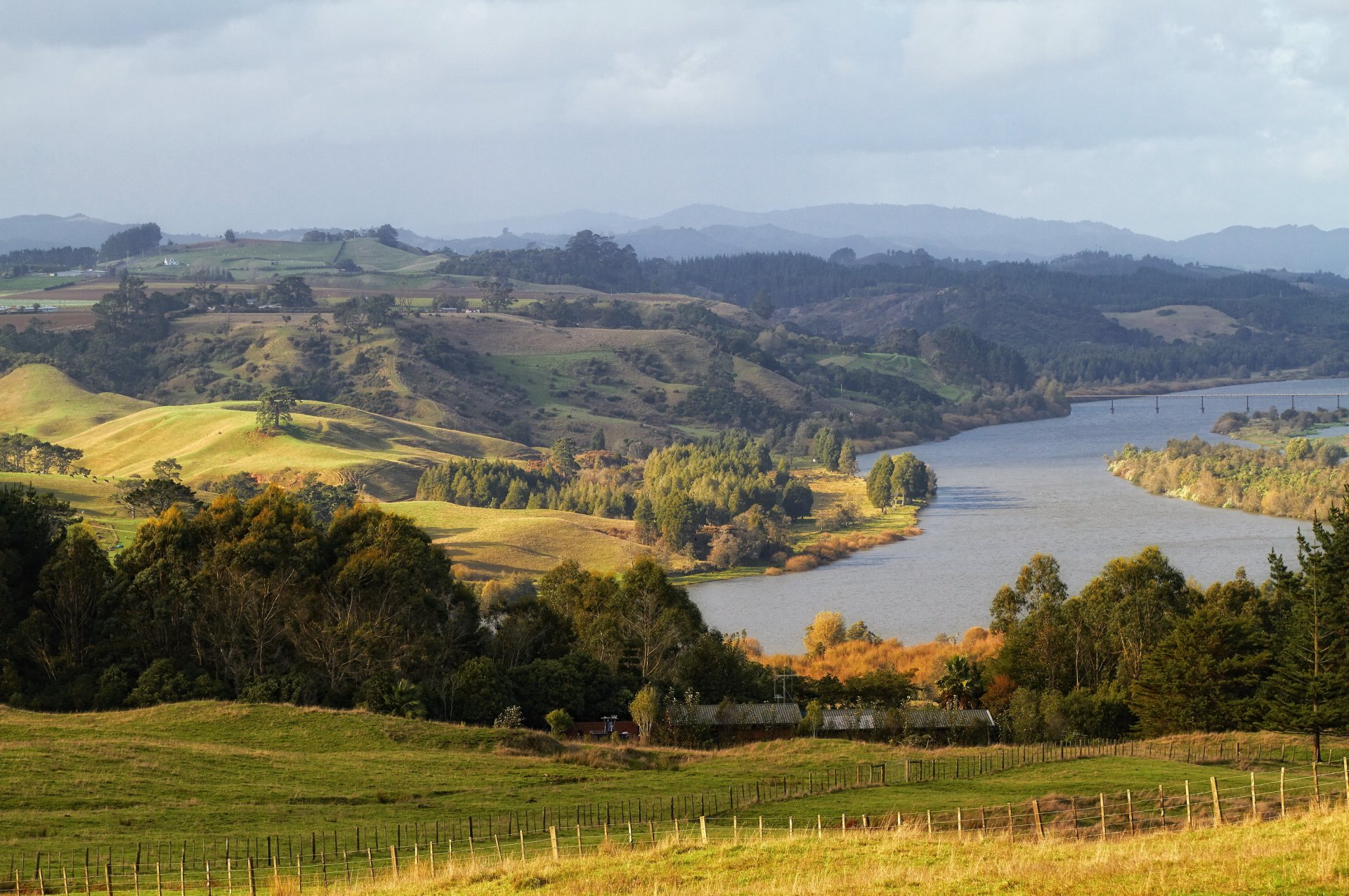 fluss wald neuseeland landschaft waikato natur foto