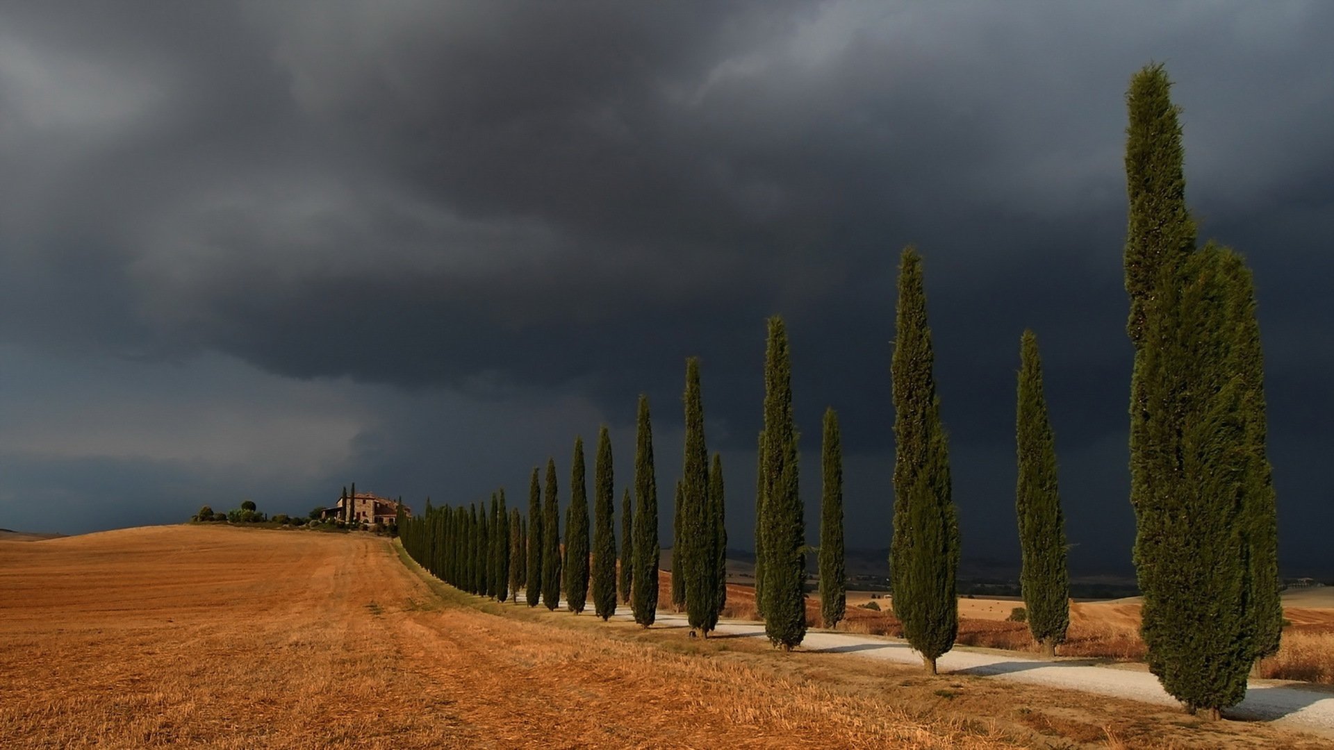 tempesta in val d orcia strada alberi cielo paesaggio