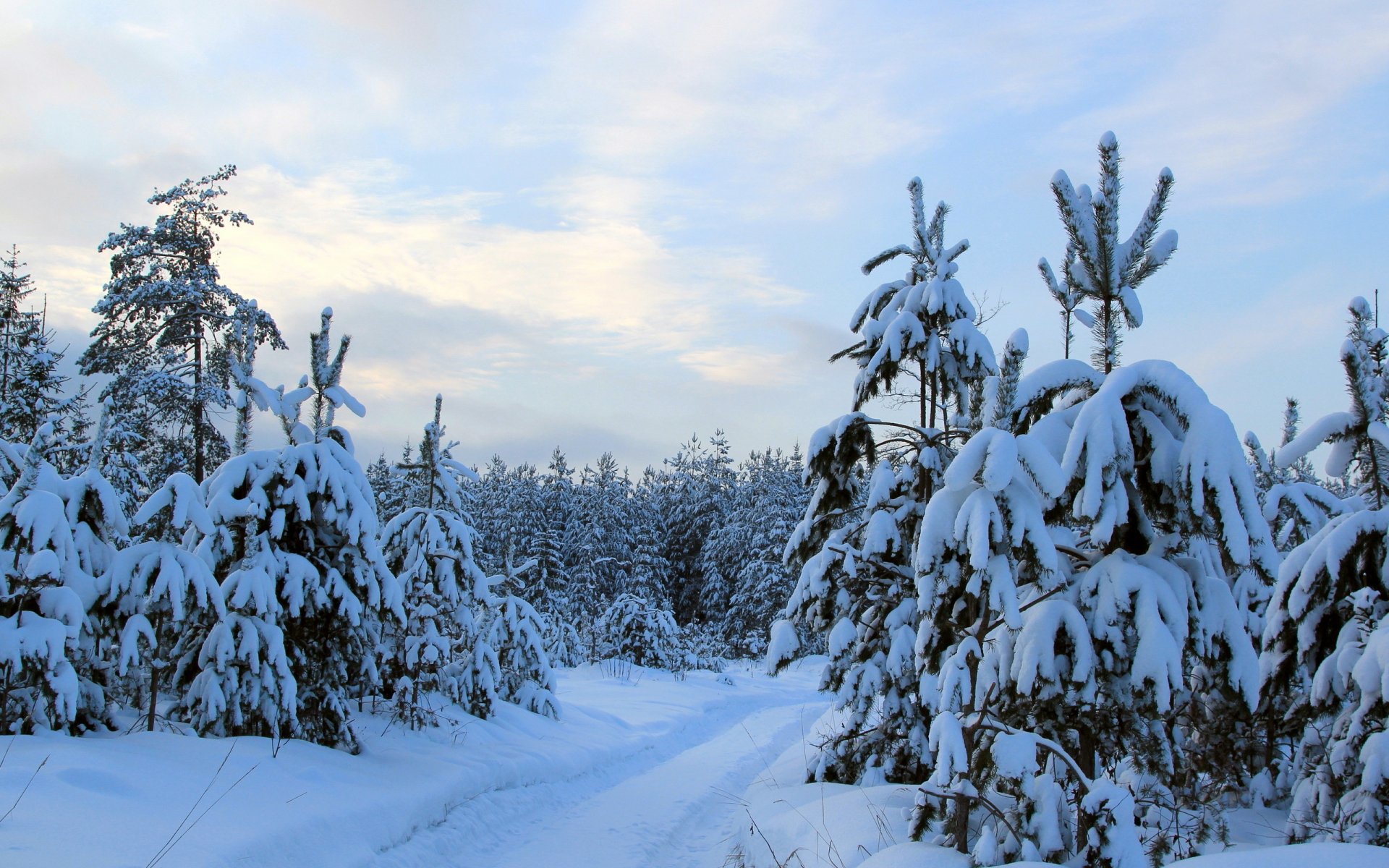 winter natur