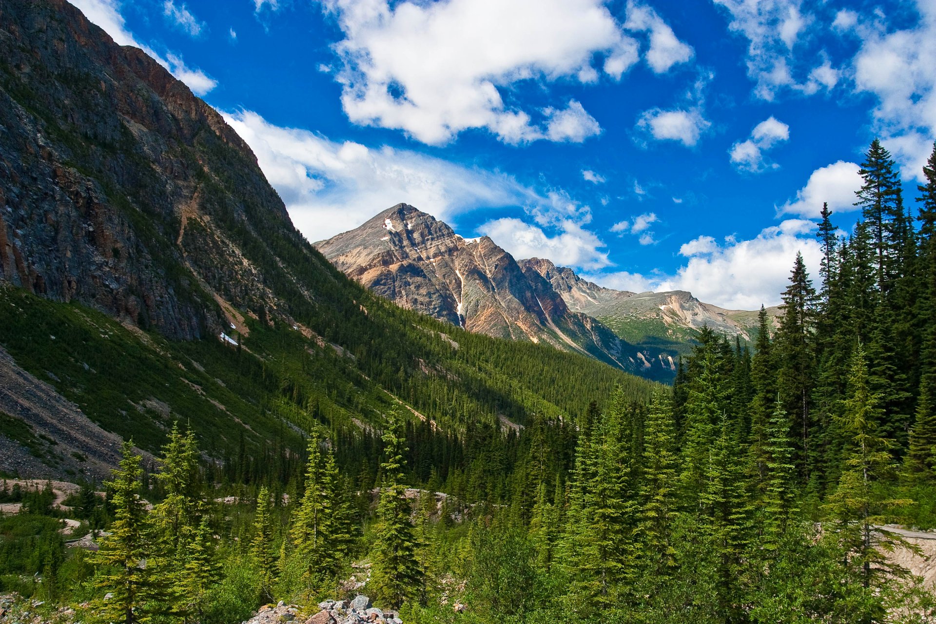 park narodowy jasper alberta kanada góry śnieg las drzewa niebo chmury