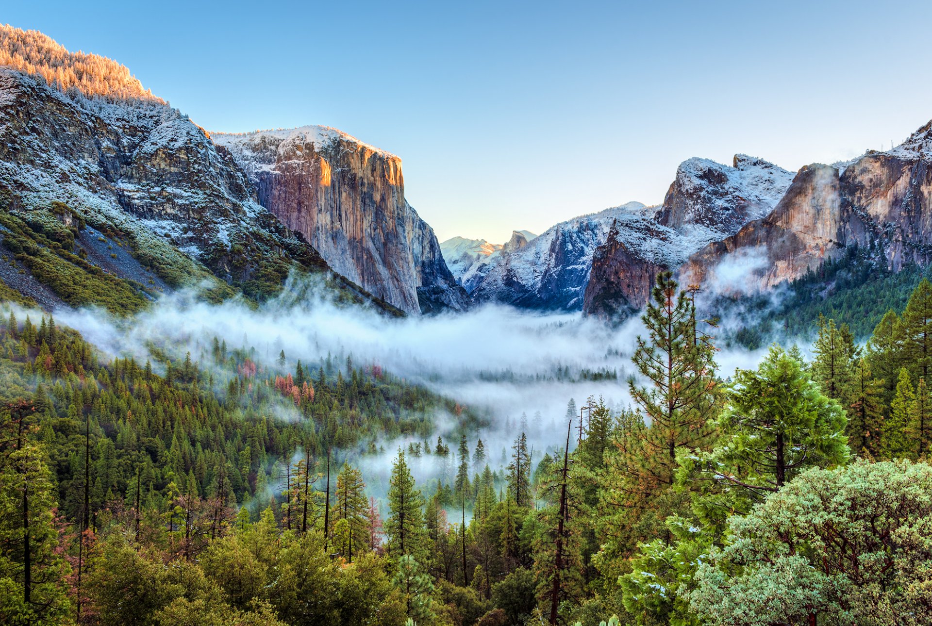 états-unis parc national de yosemite californie montagnes roches neige gorge forêt arbres brouillard beauté