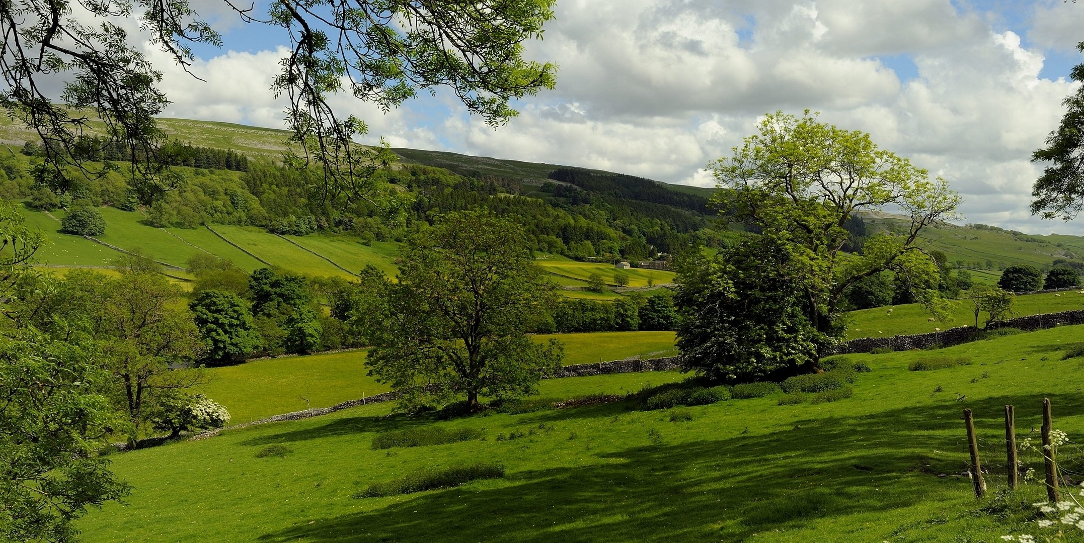 kettlewell angleterre pâturage arbres champs