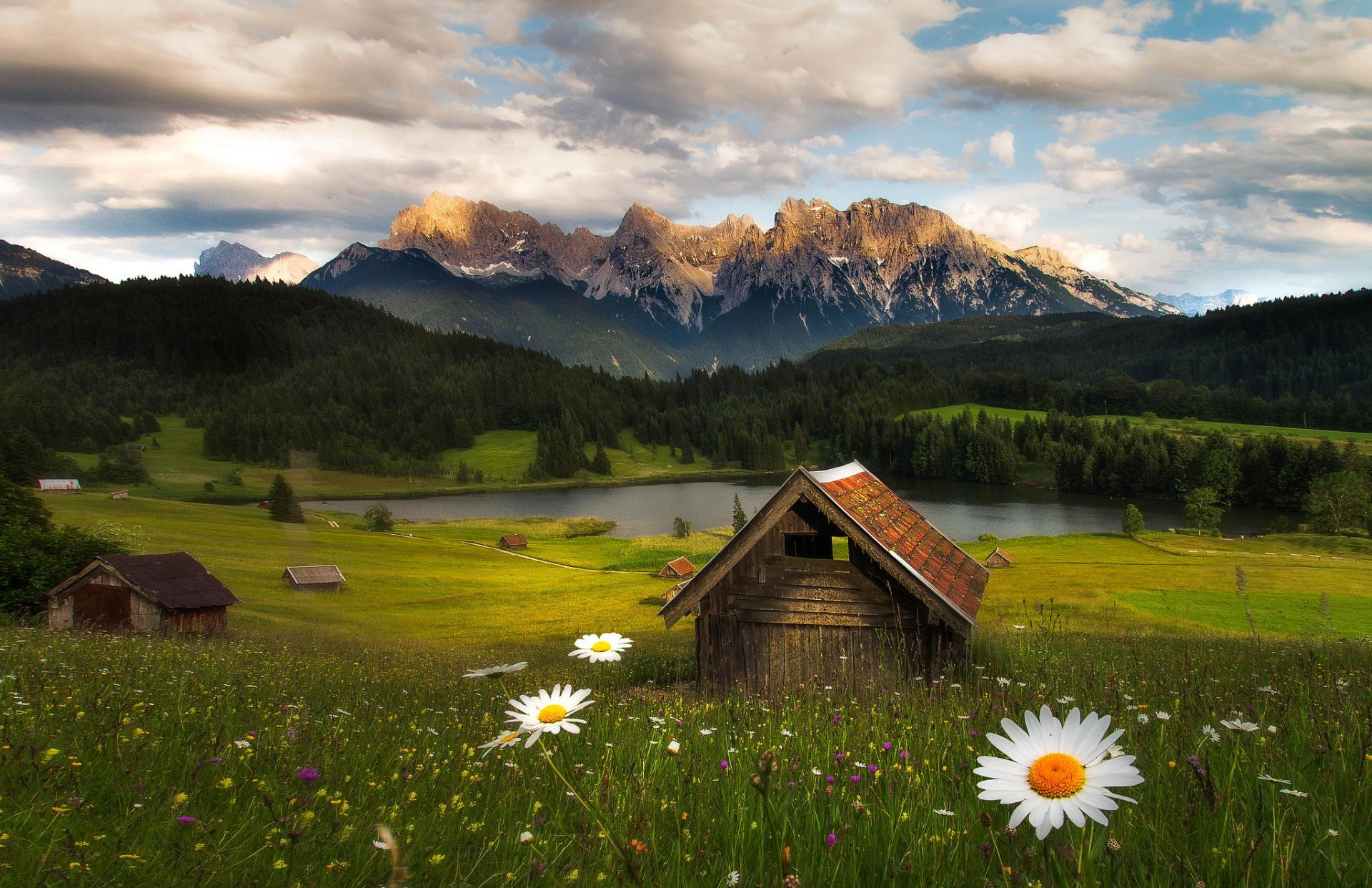 berge wald natur hütte blumen fabian vogl