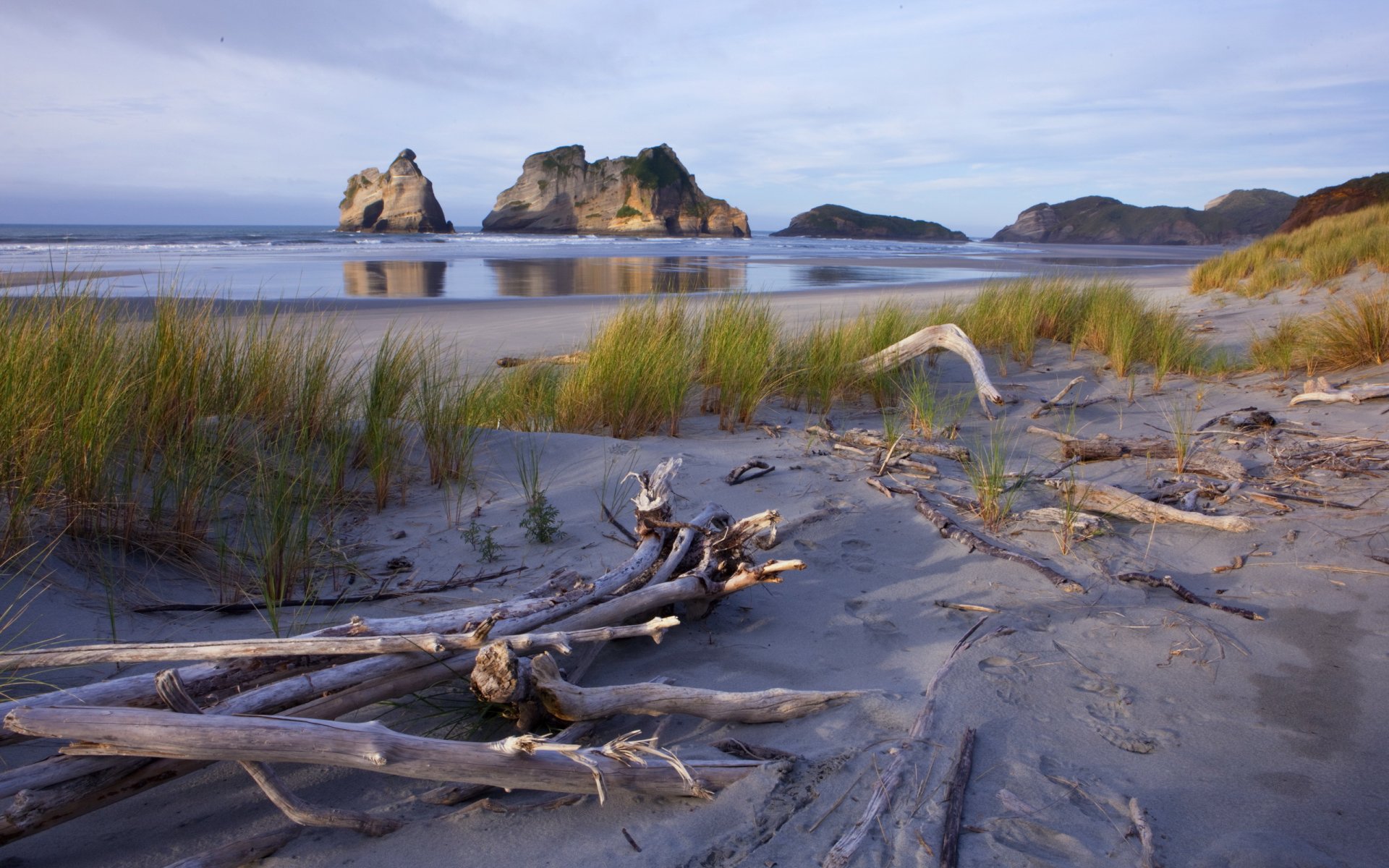 nuova zelanda nelson beach wharariki