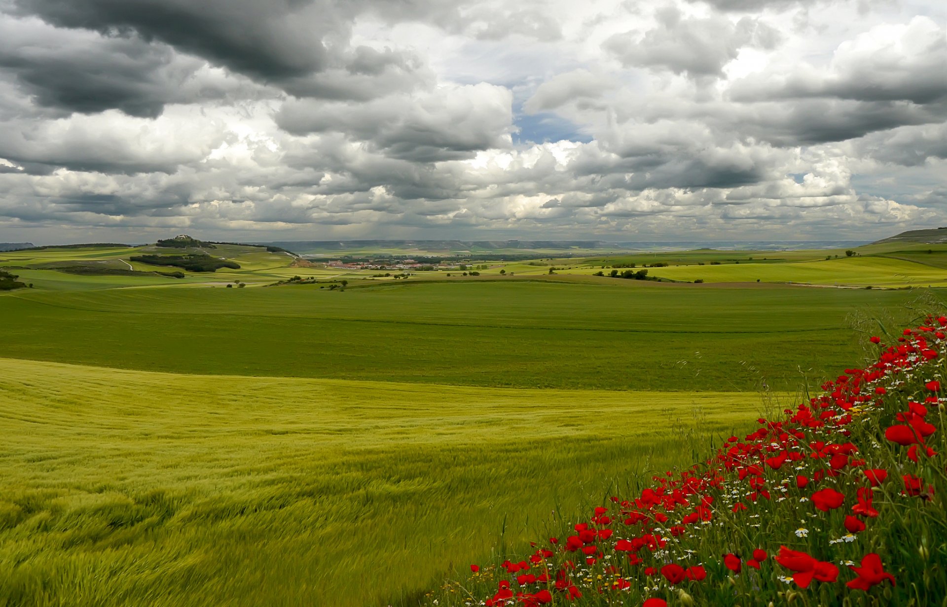 italie toscane ciel nuages collines herbe fleurs arbres maison