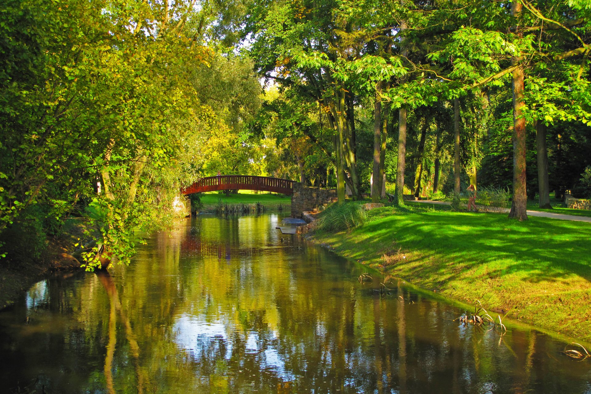 polska park rzeka most sochaczew drzewa trawa przyroda zdjęcia