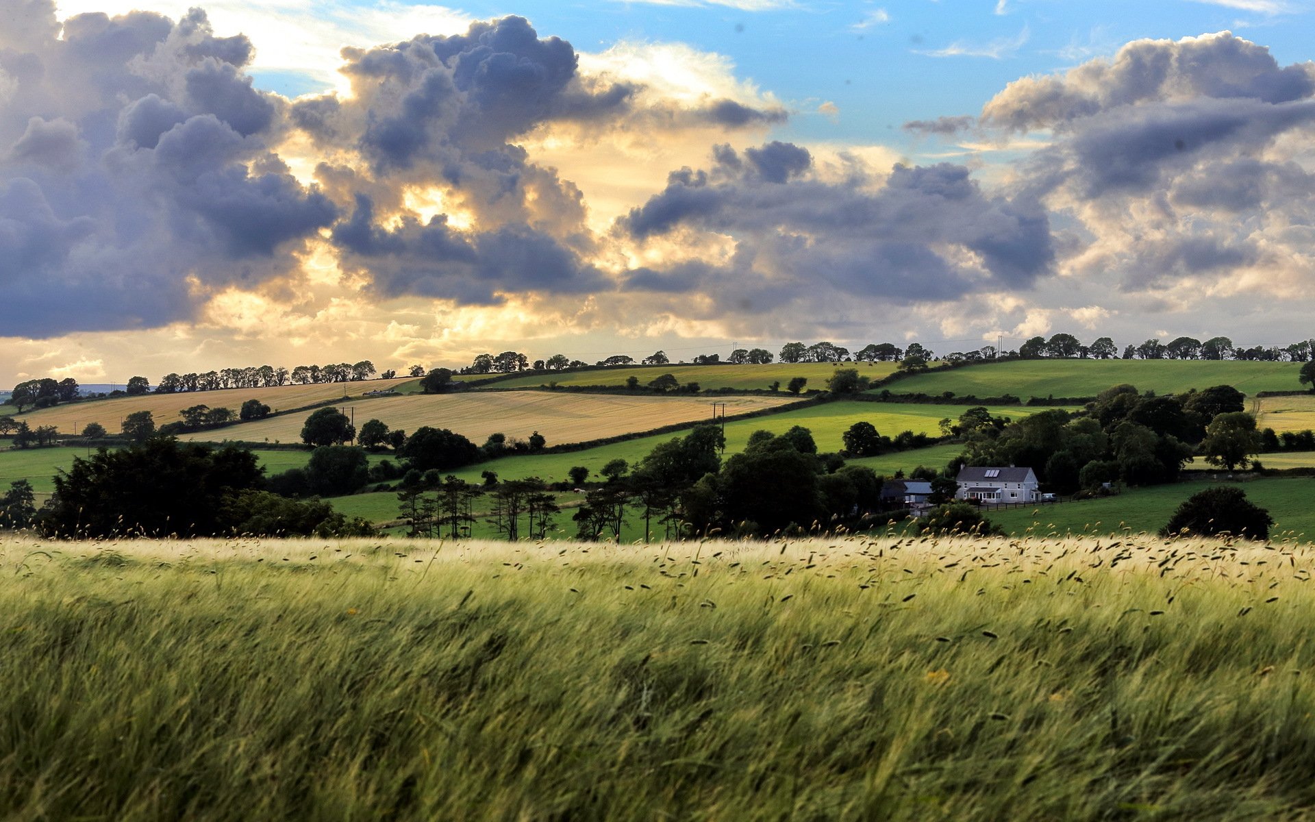 feld himmel landschaft sommer