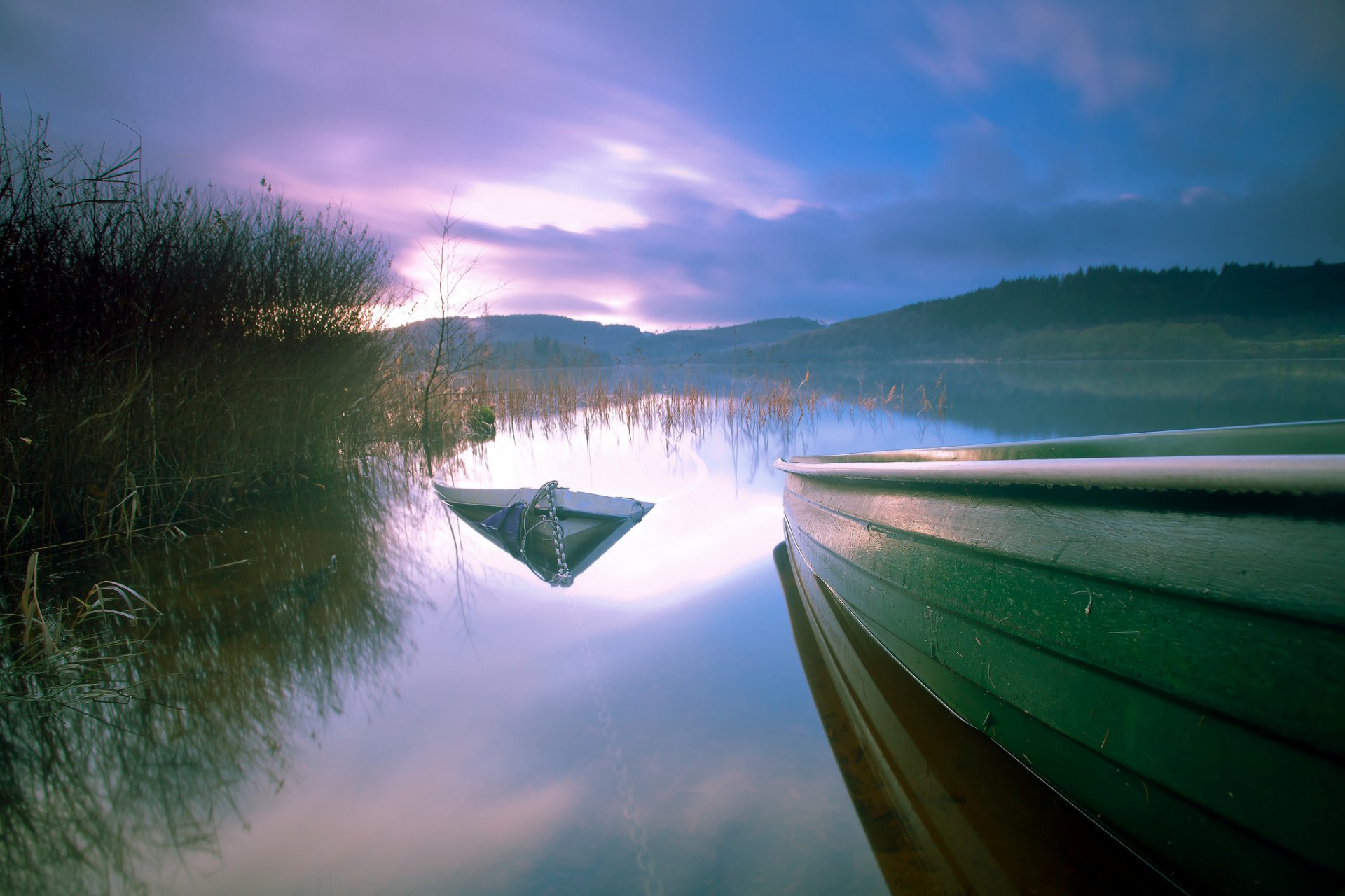 lago canne barche barca affondato sera tramonto