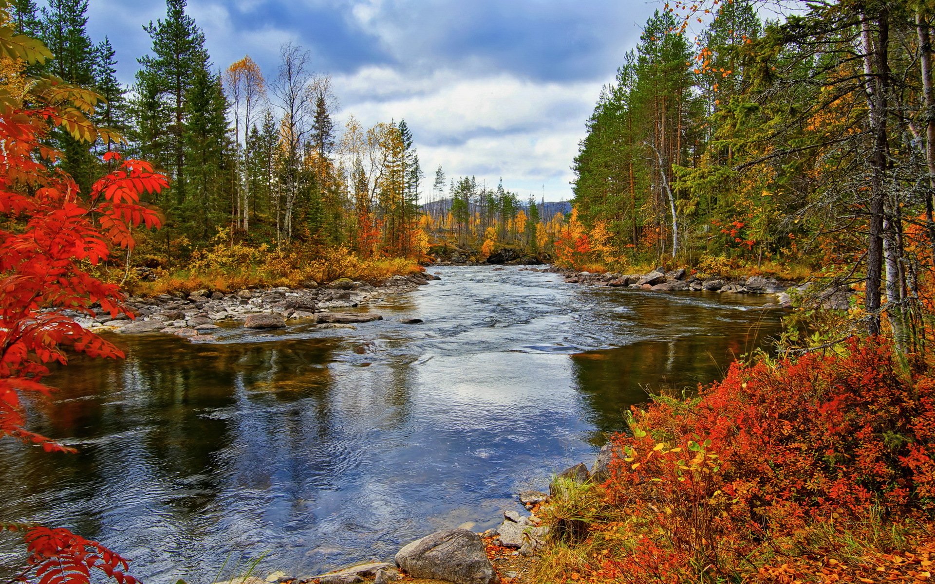 river autumn nature landscape