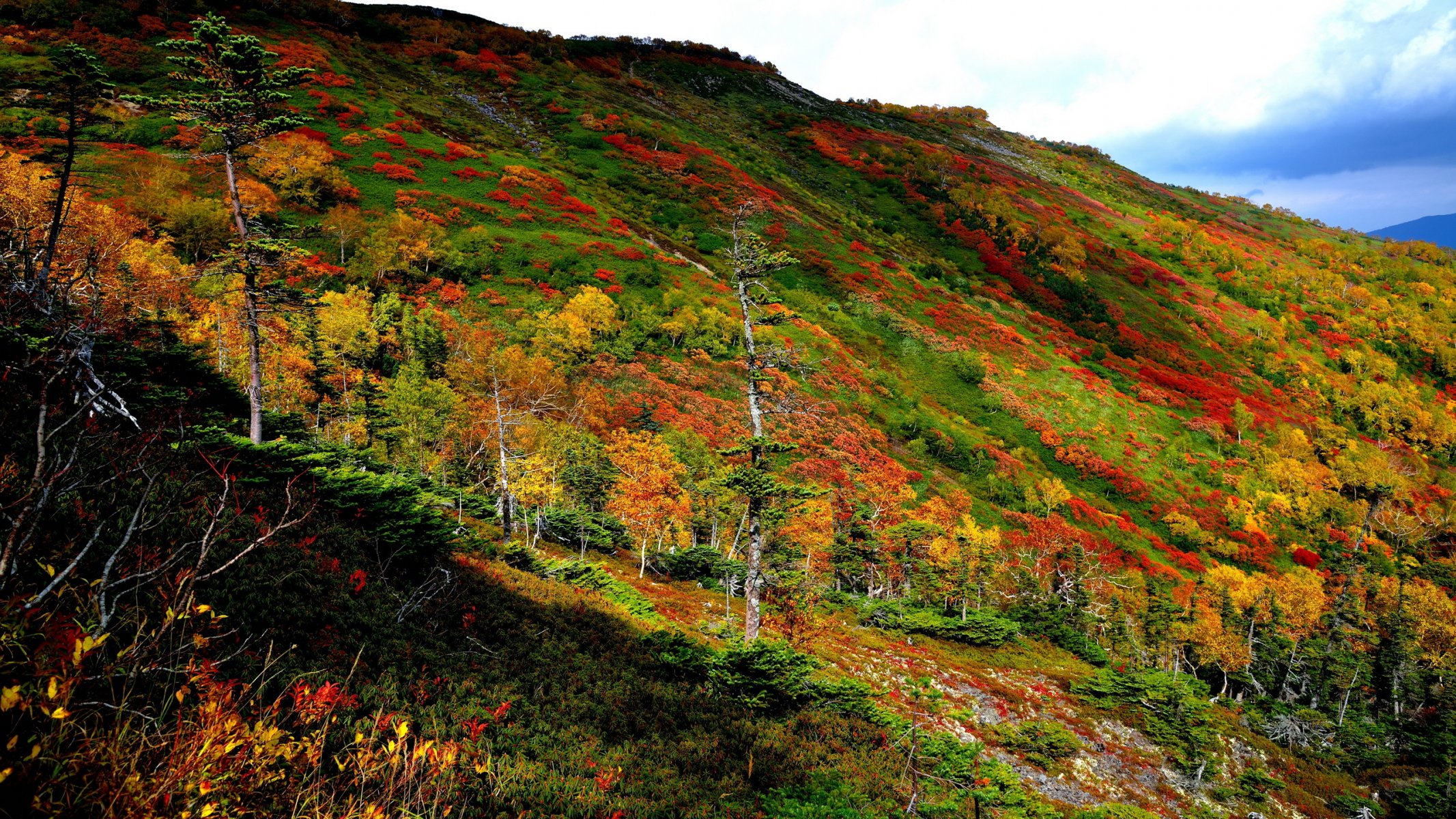 ginsendai autumn landscape color hokkaido