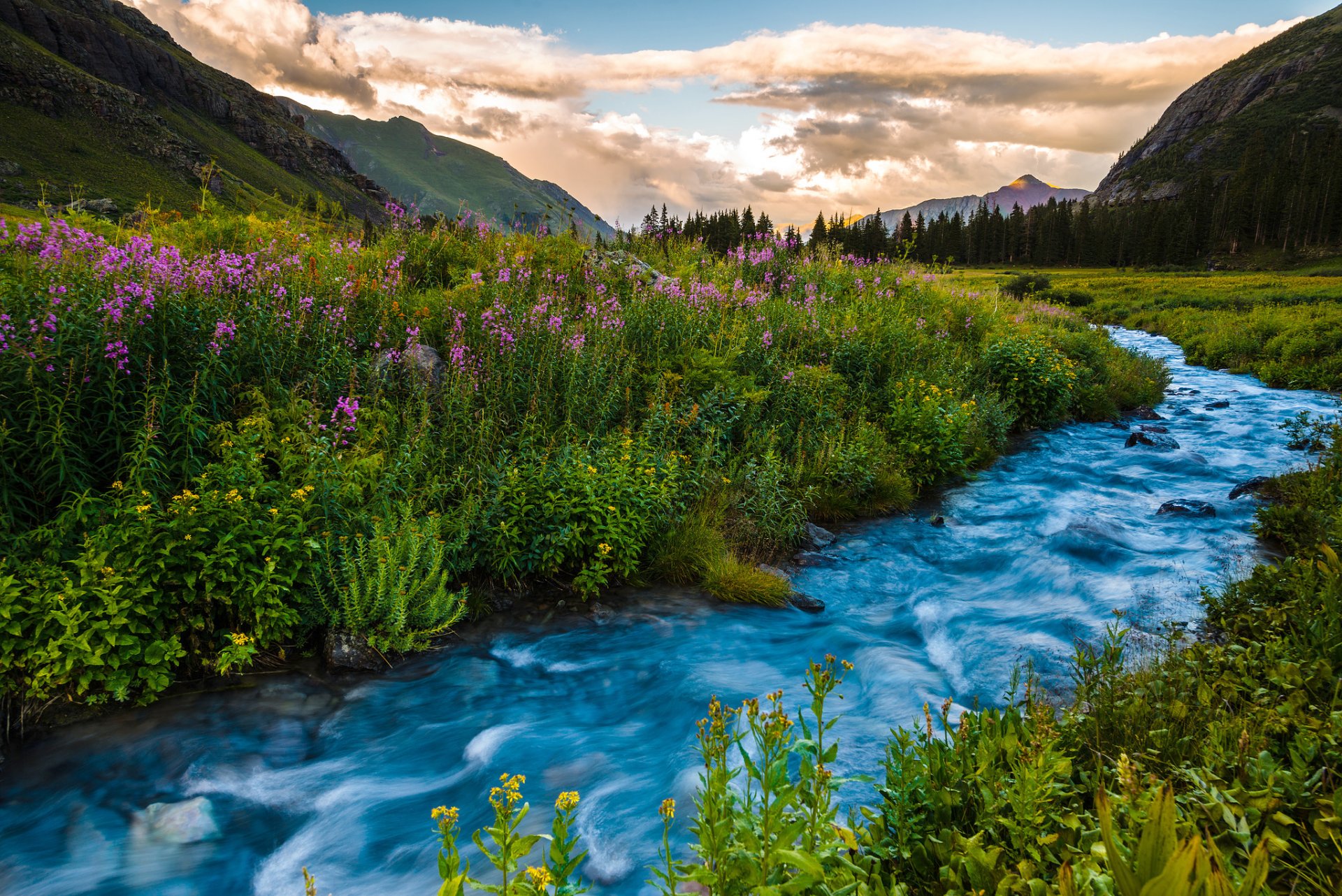 usa colorado rivière fleurs montagnes coucher de soleil été paysage