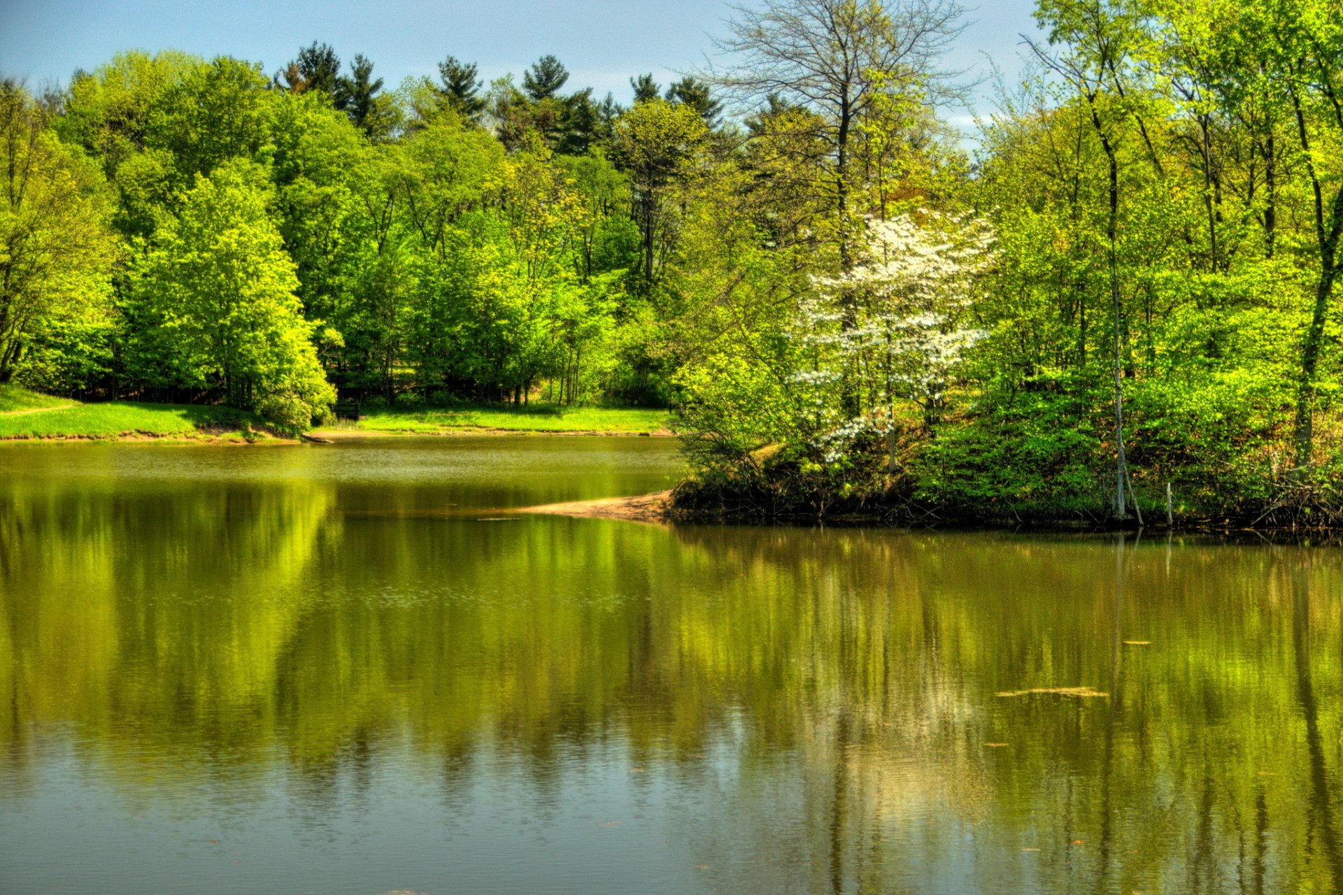 stati uniti fiume estate randall ohio alberi natura foto