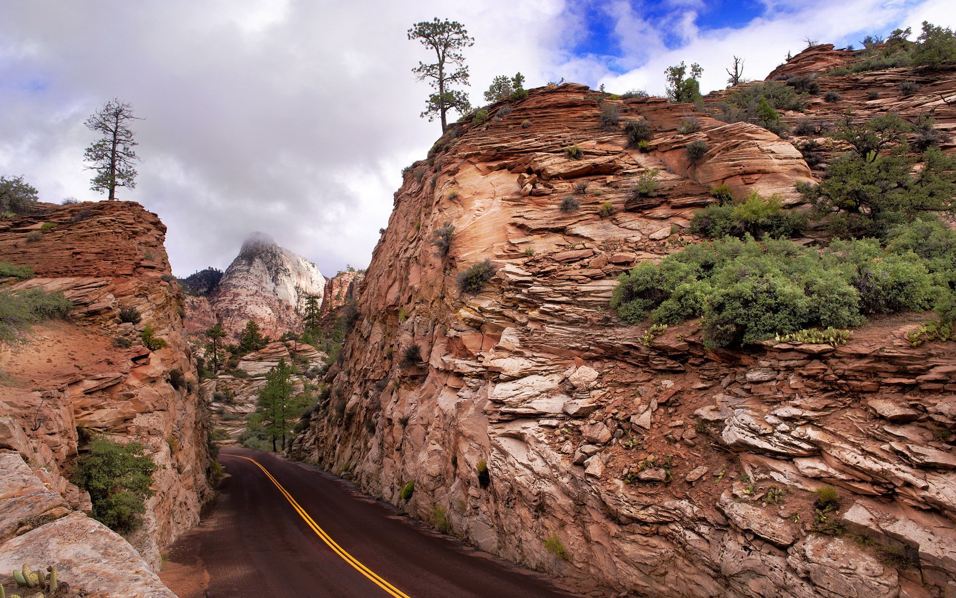 parque nacional zion carretera montañas