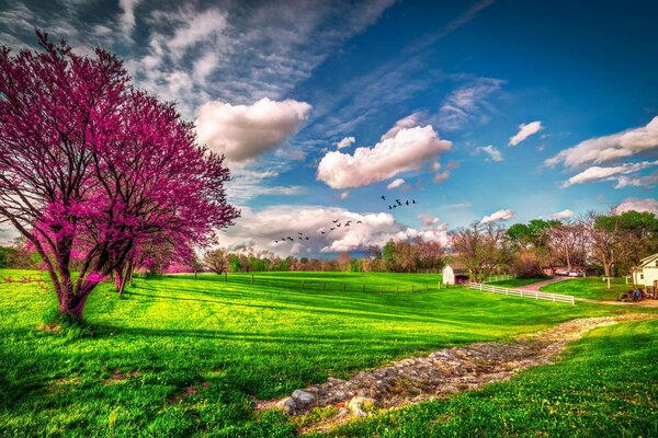 Spring clouds and azure sky