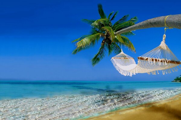 Hammock hanging on a palm tree above the ocean beach. Azure sky