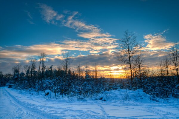 Forêt enneigée au coucher du soleil