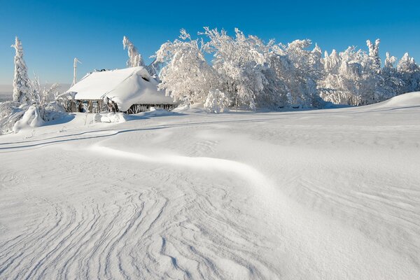 Зимний пейзаж дом и деревья в снегу